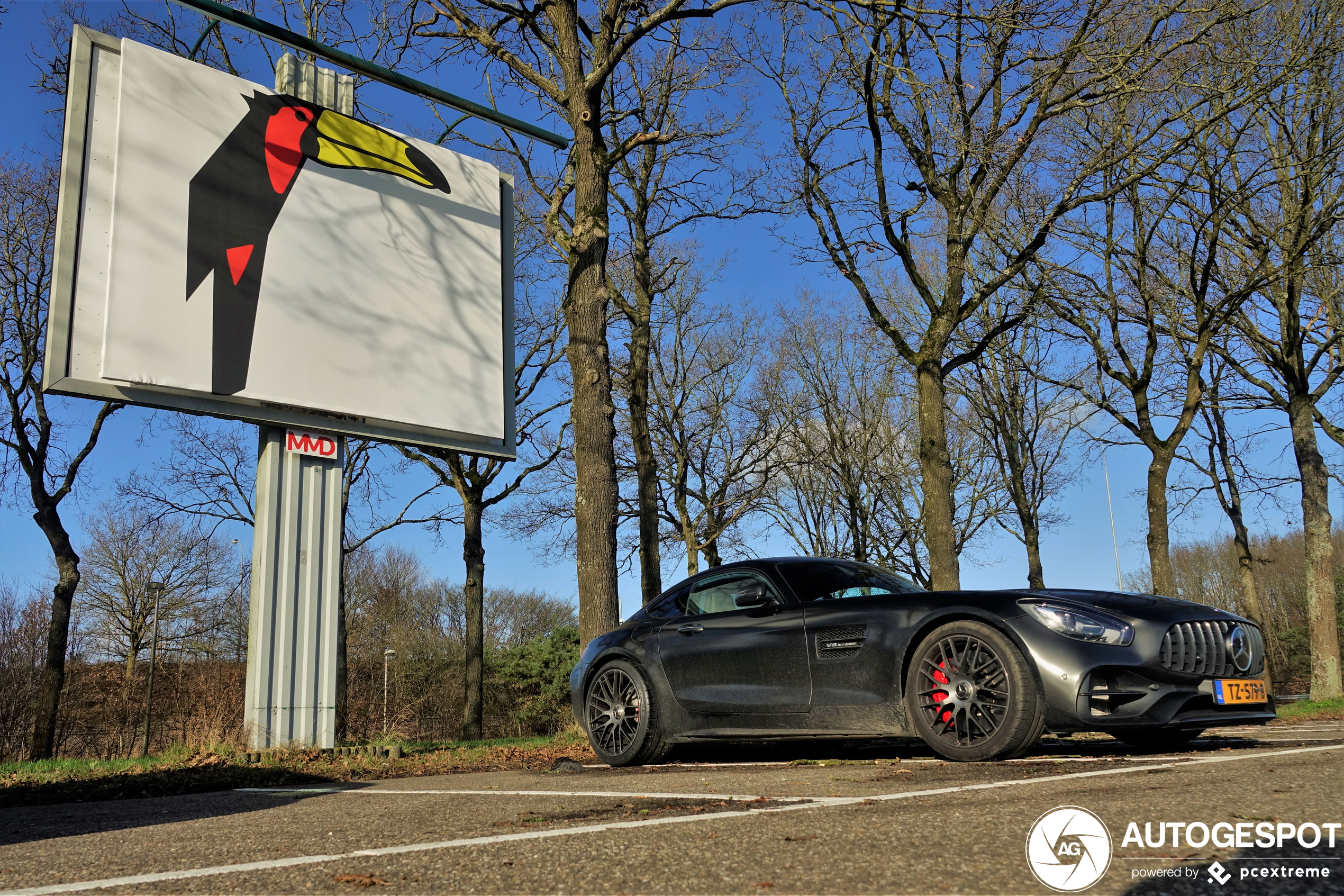 Mercedes-AMG GT C Edition 50 C190 2017