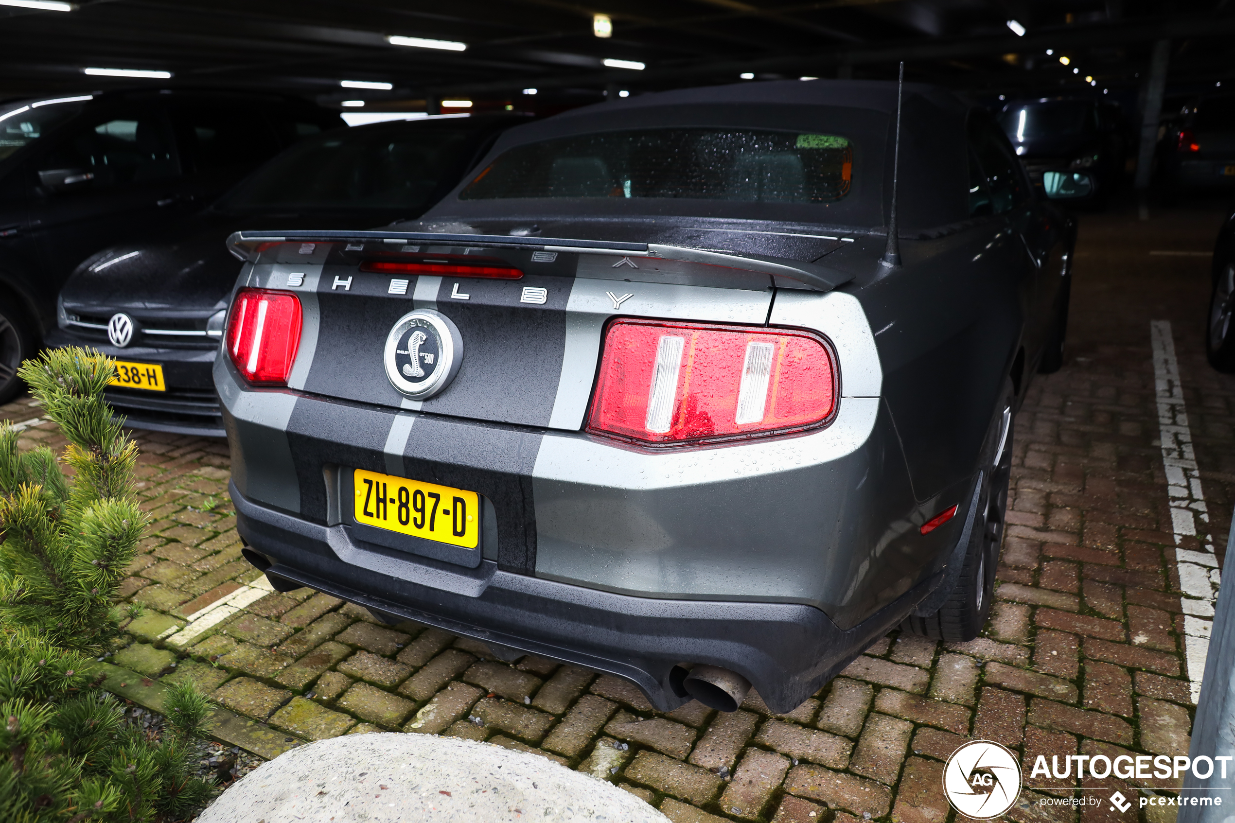 Ford Mustang Shelby GT500 Convertible 2010