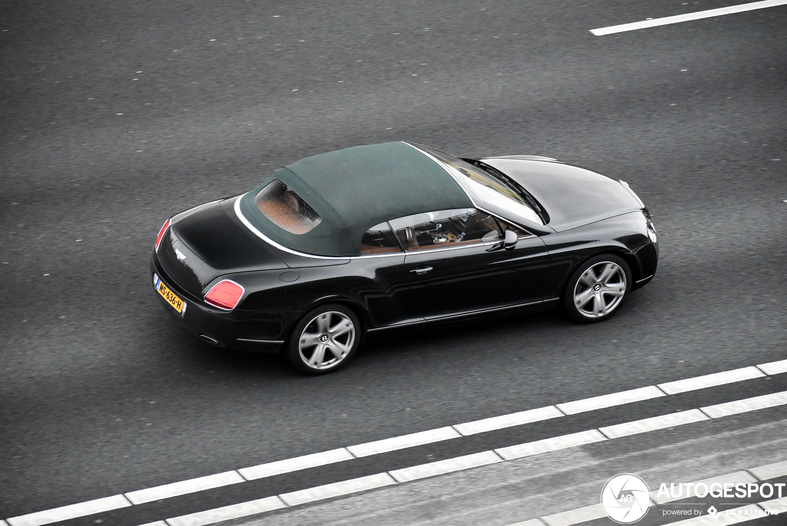 Bentley Continental GTC