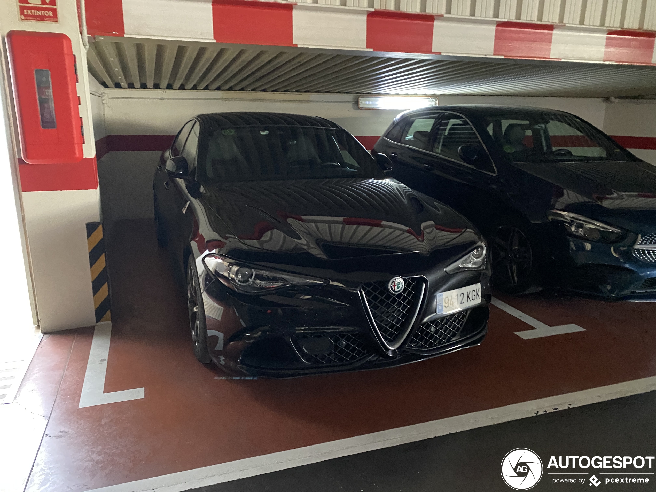 Alfa Romeo Hong Kong - Giulia Quadrifoglio
