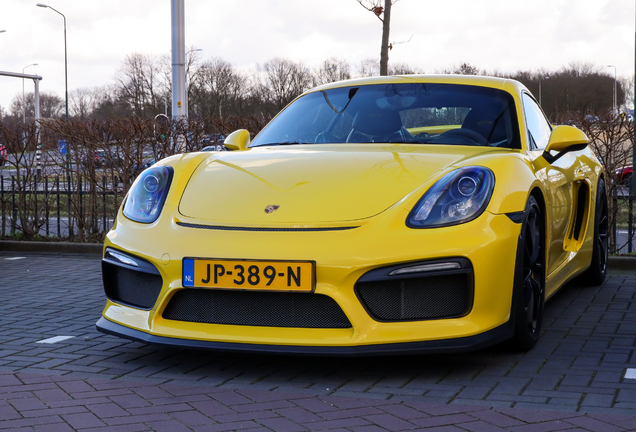 Porsche 981 Cayman GT4