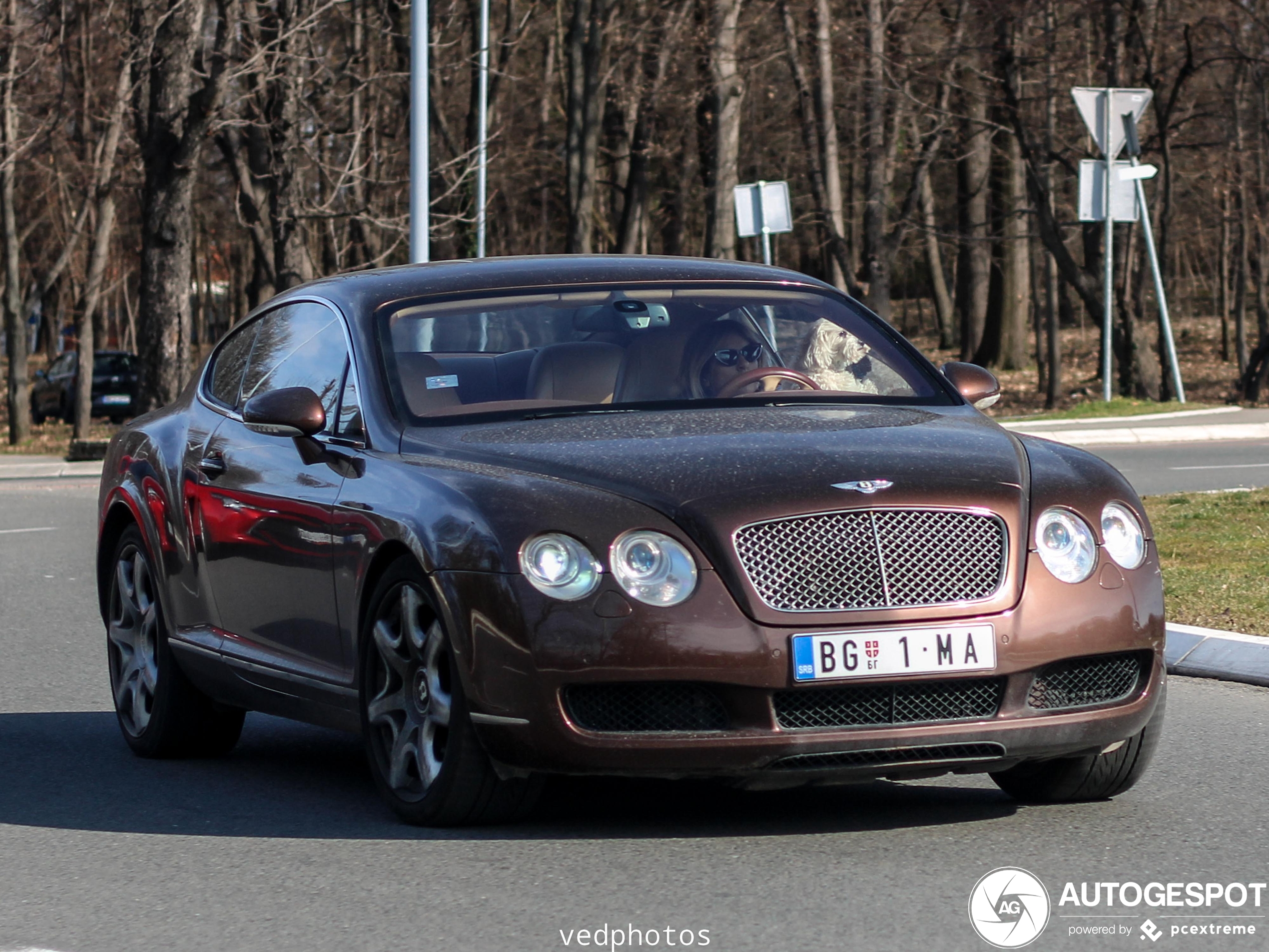 Bentley Continental GT