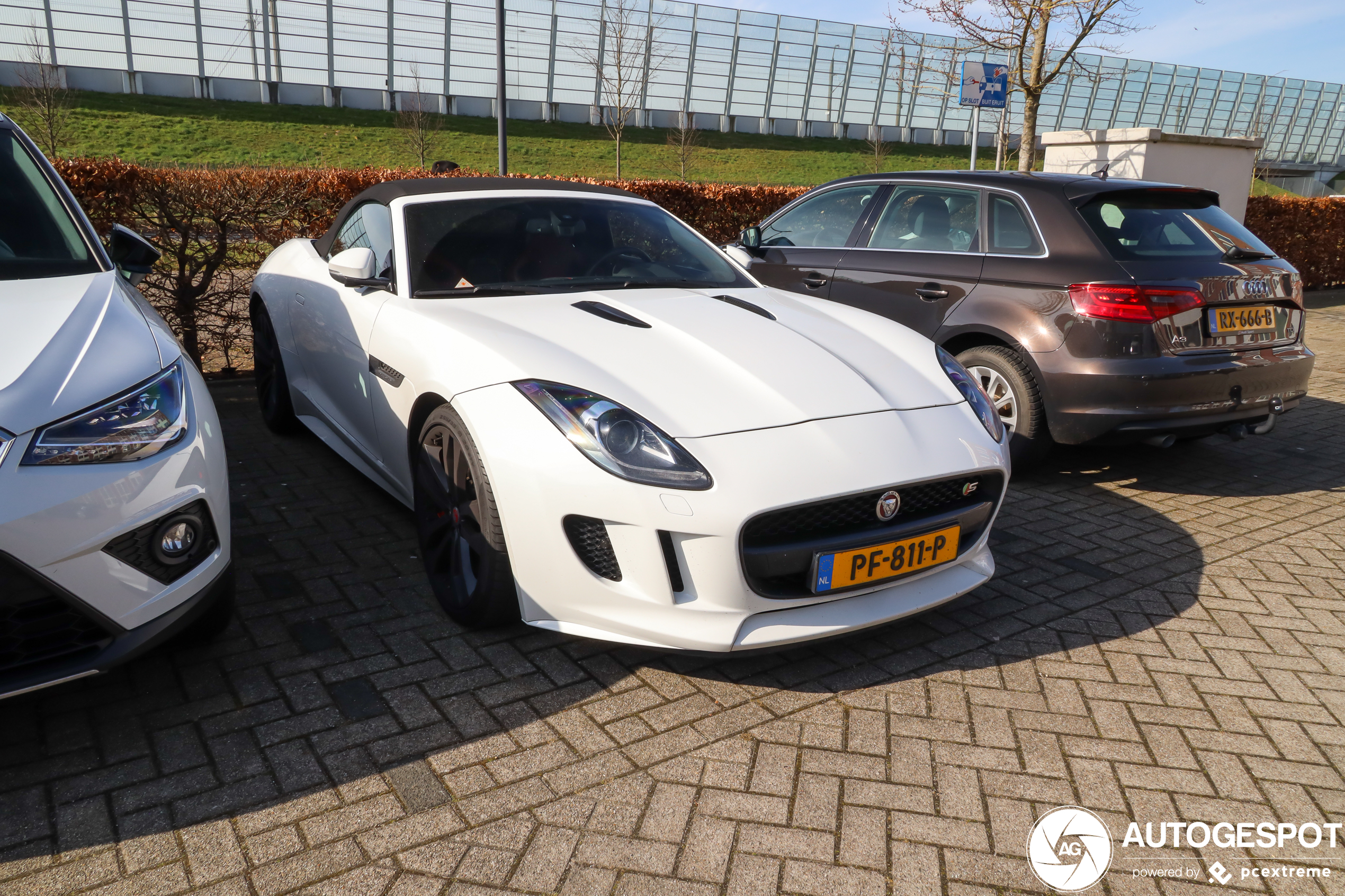 Jaguar F-TYPE S V8 Convertible