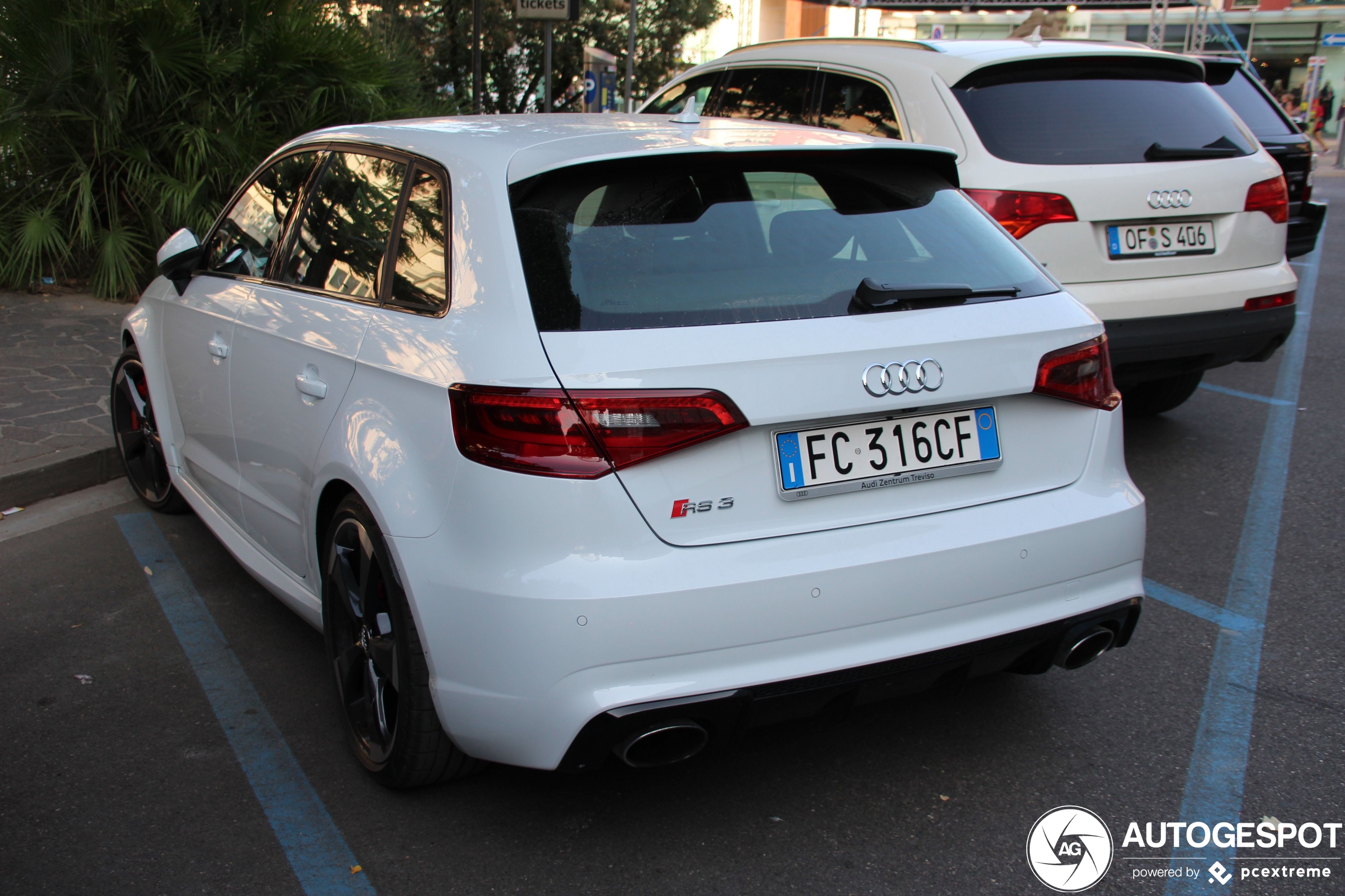 Audi RS3 Sportback 8V