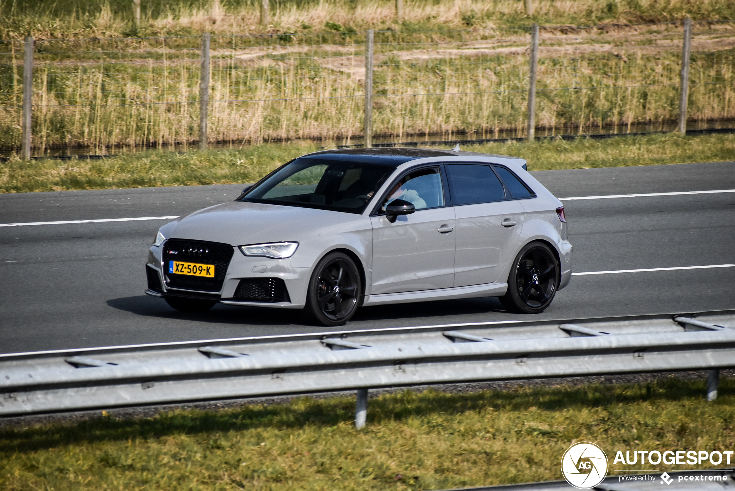 Audi RS3 Sportback 8V