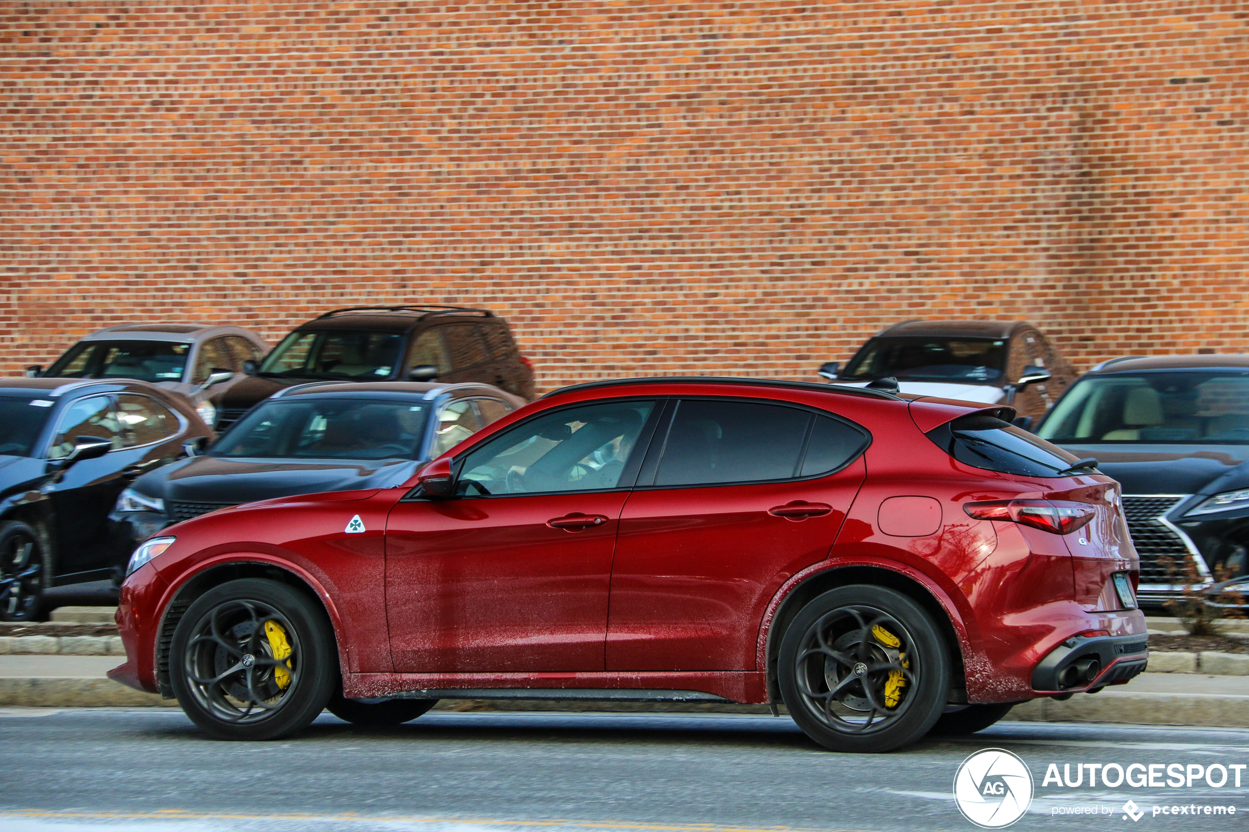 Alfa Romeo Stelvio Quadrifoglio