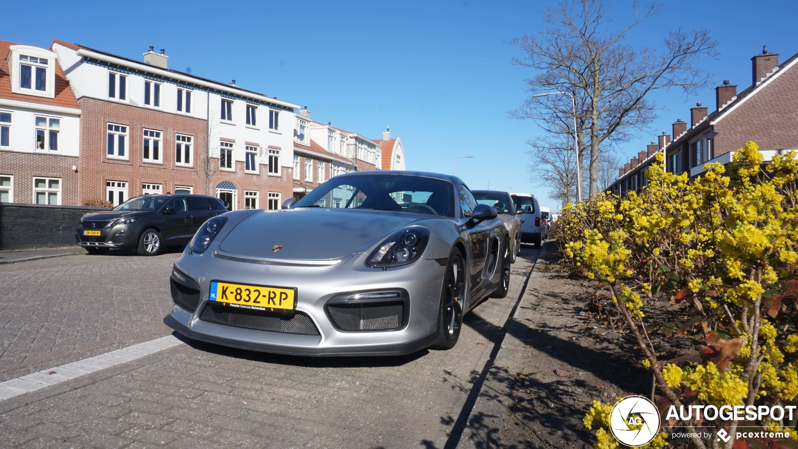 Porsche 981 Cayman GT4