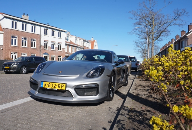 Porsche 981 Cayman GT4