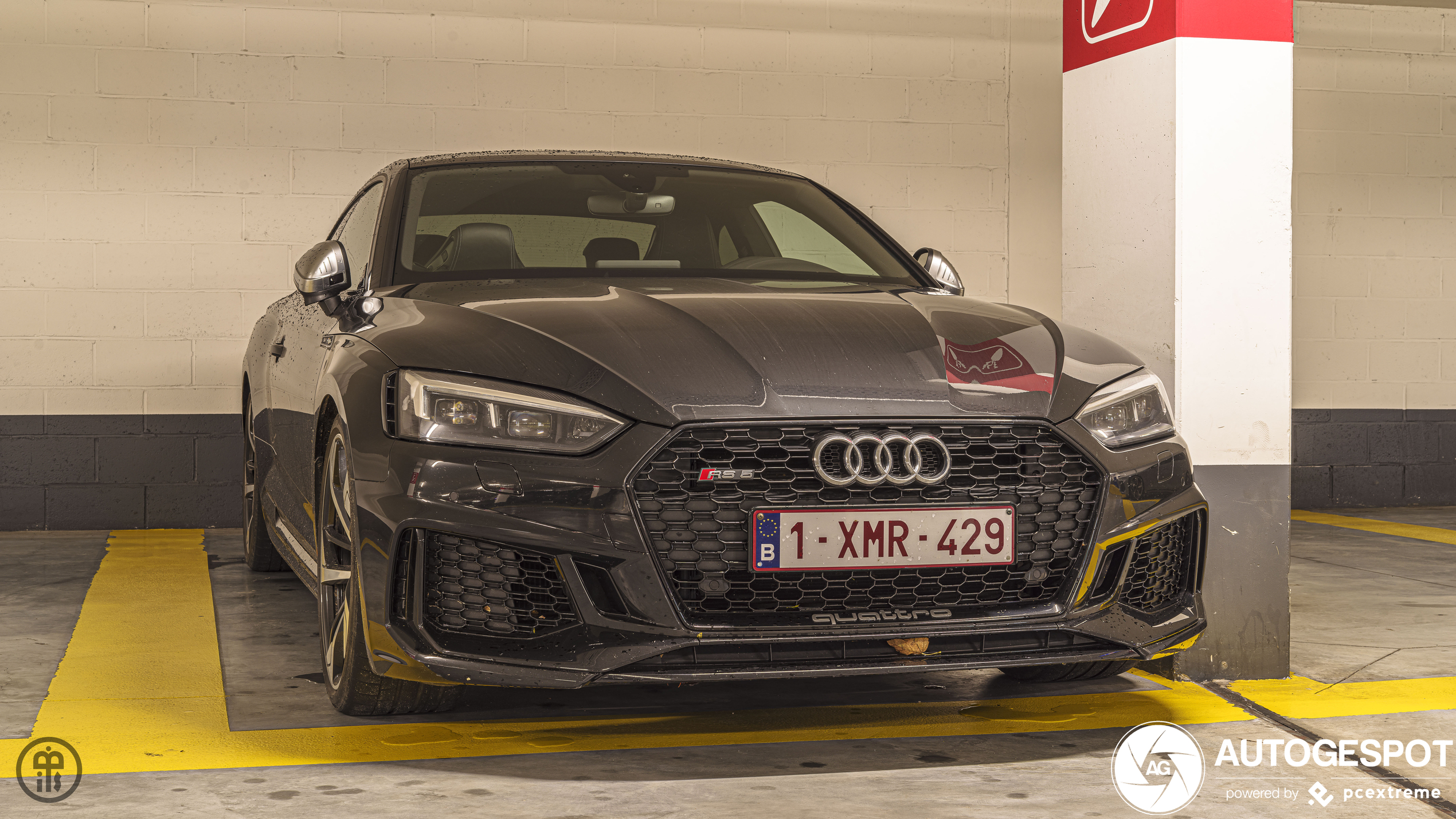 Audi RS5 B9