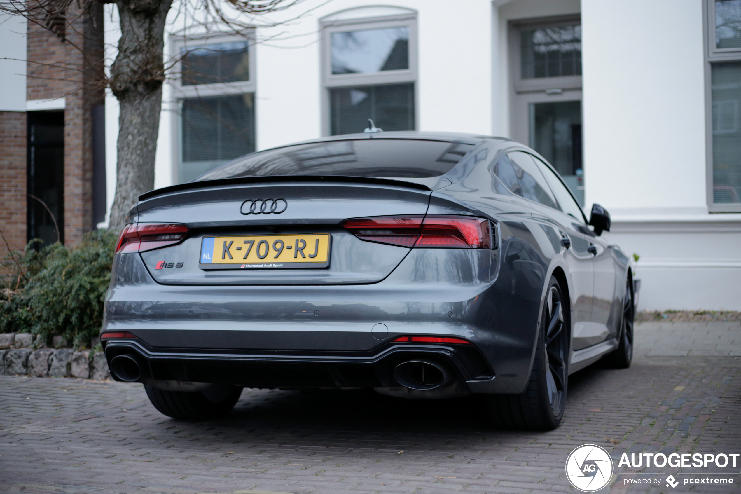 Audi RS5 Sportback B9