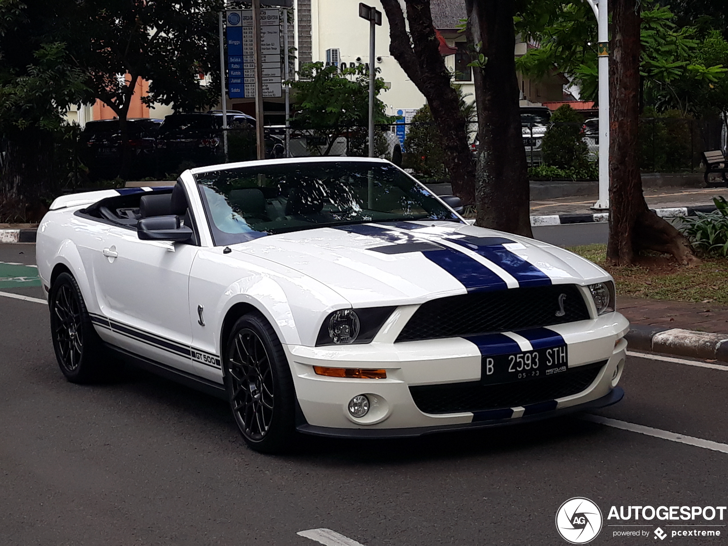 Ford Mustang Shelby GT500 Convertible