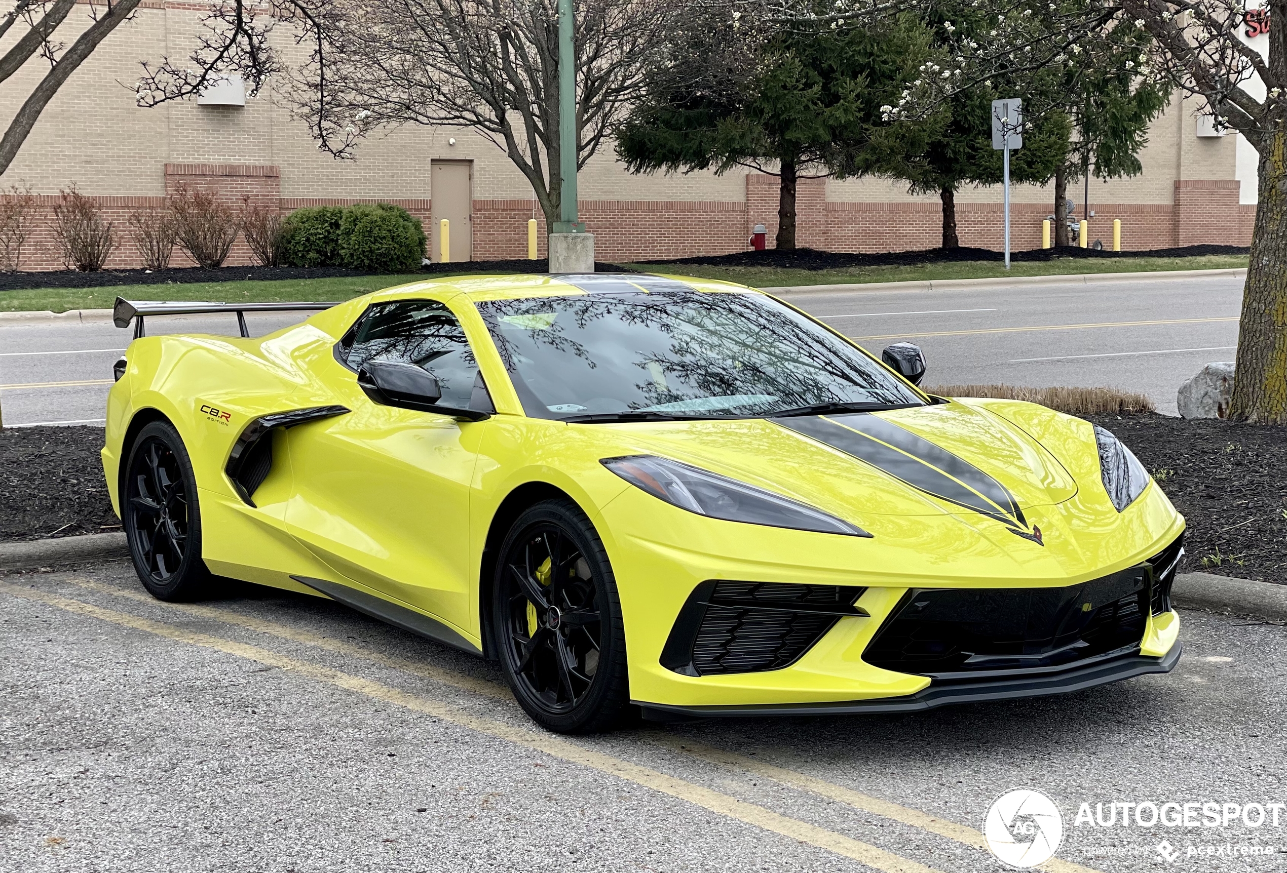 Chevrolet Corvette C8 Convertible IMSA GTLM Championship Edition