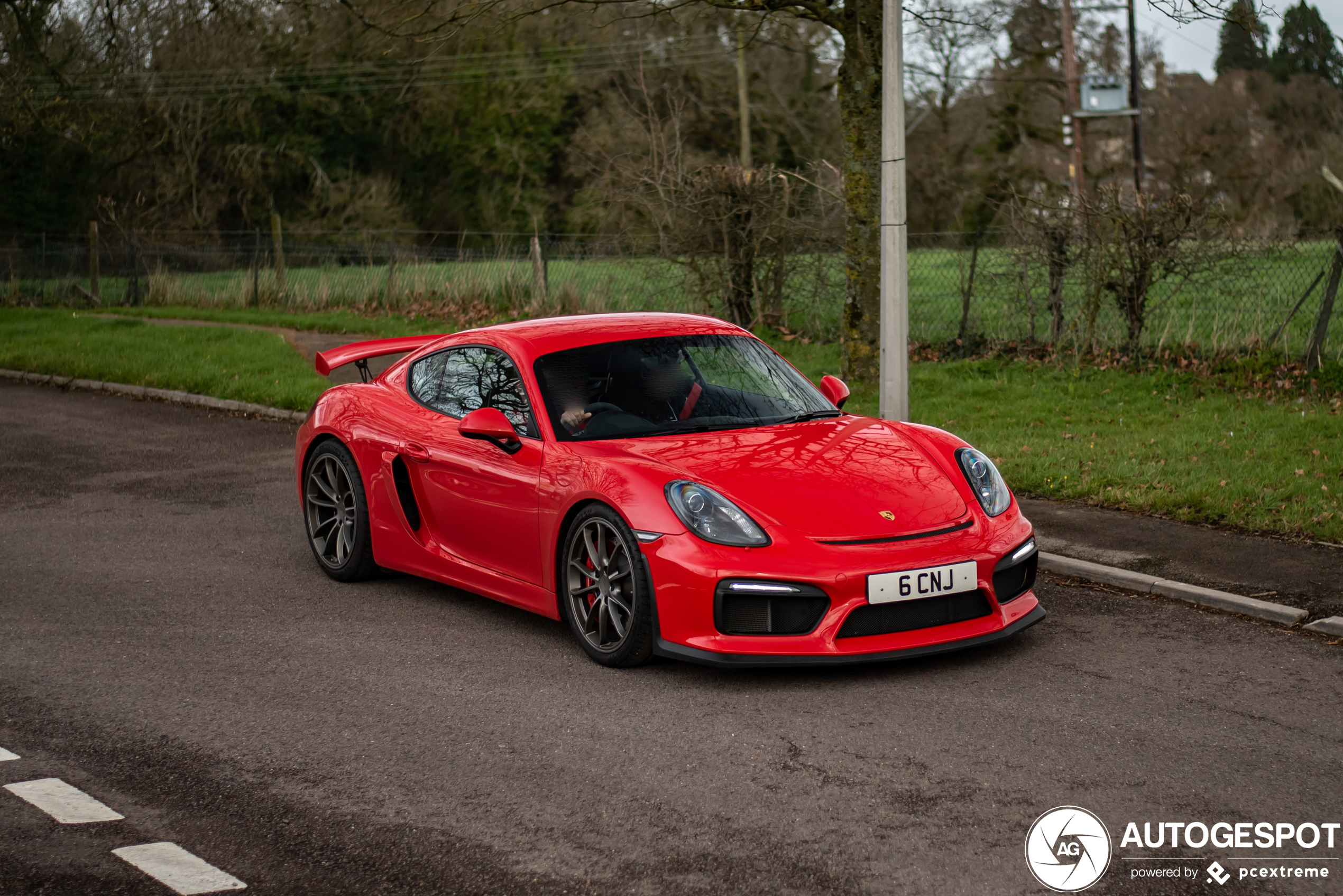 Porsche 981 Cayman GT4