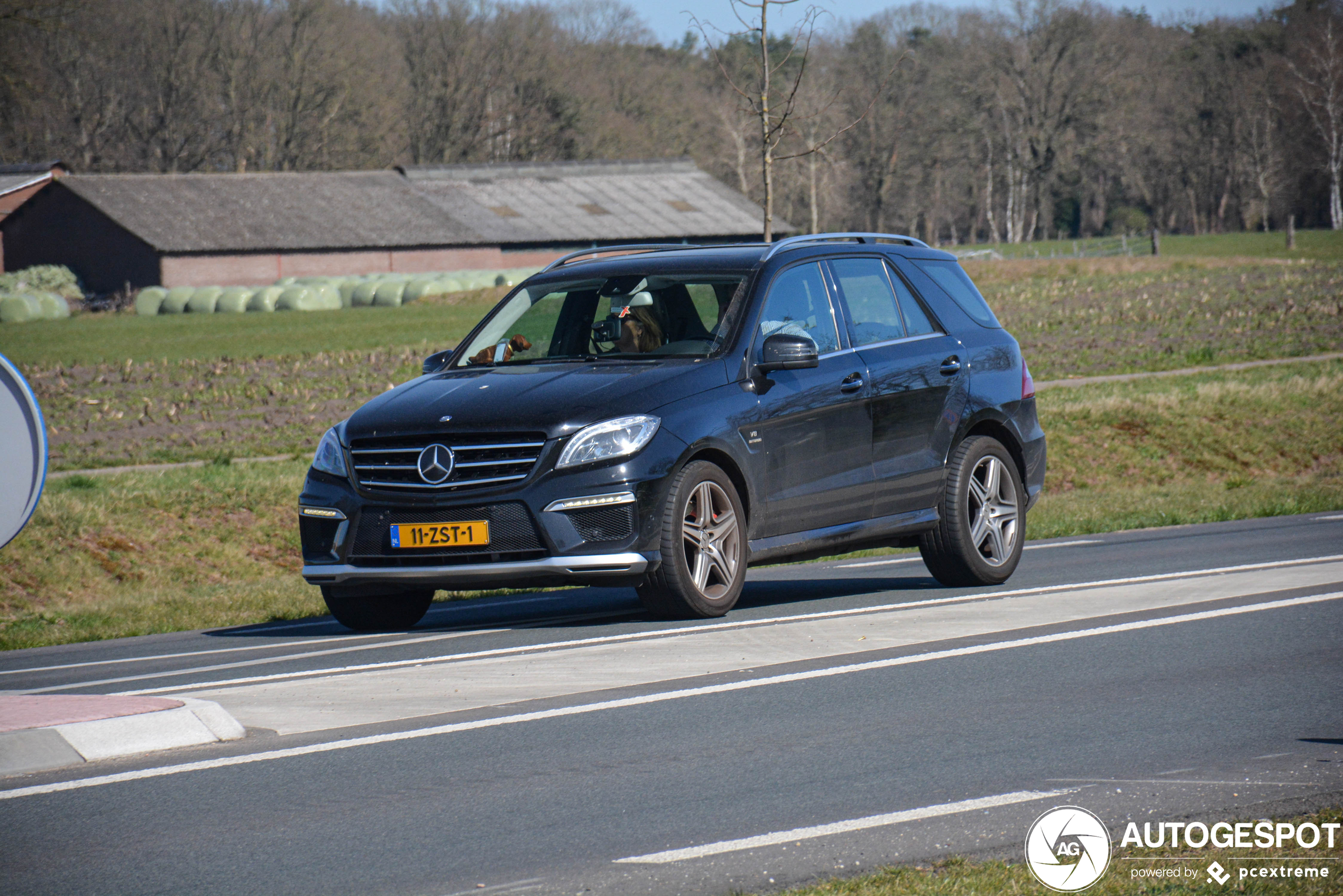 Mercedes-Benz ML 63 AMG W166