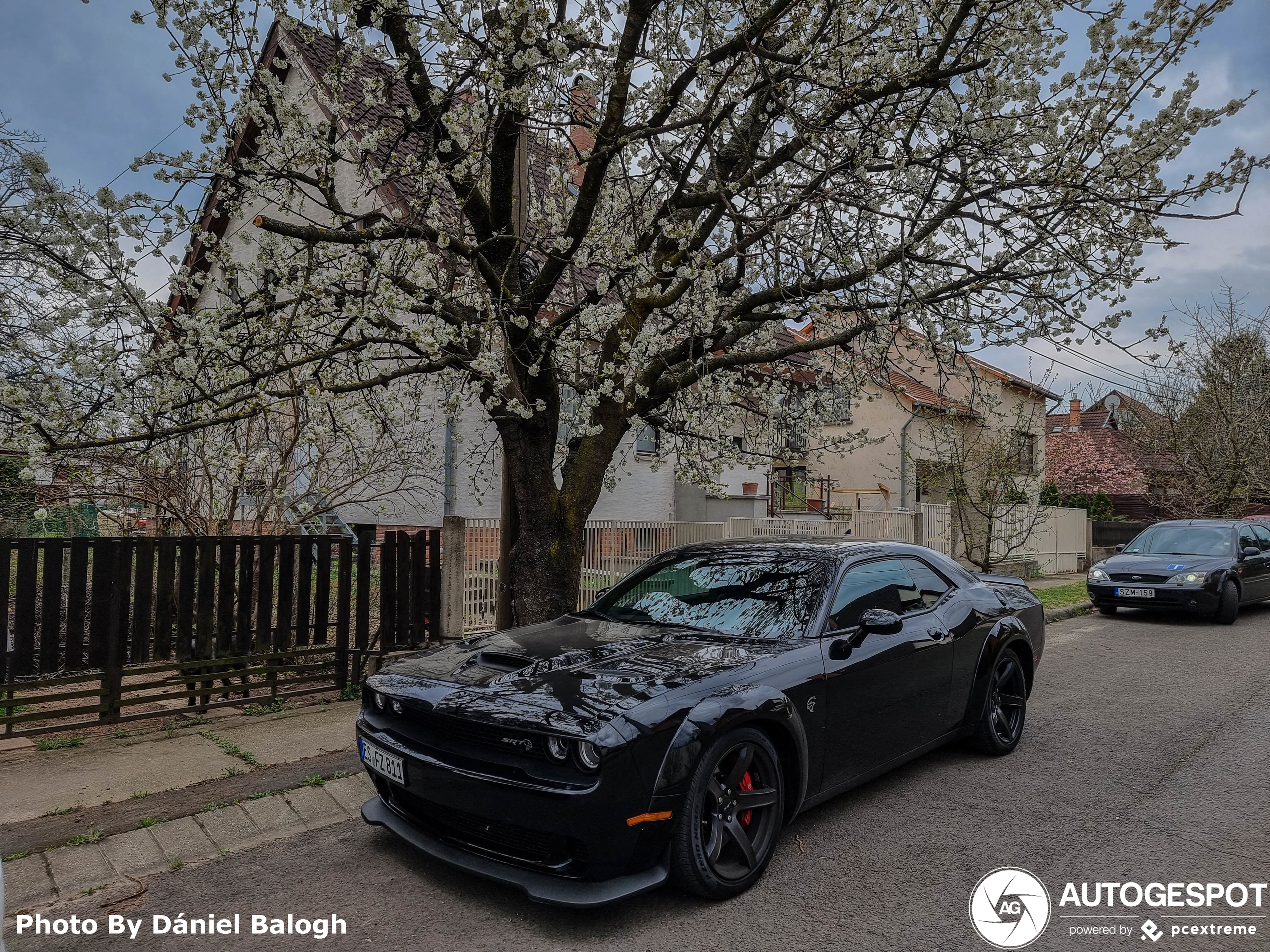 Dodge Challenger SRT Hellcat Widebody