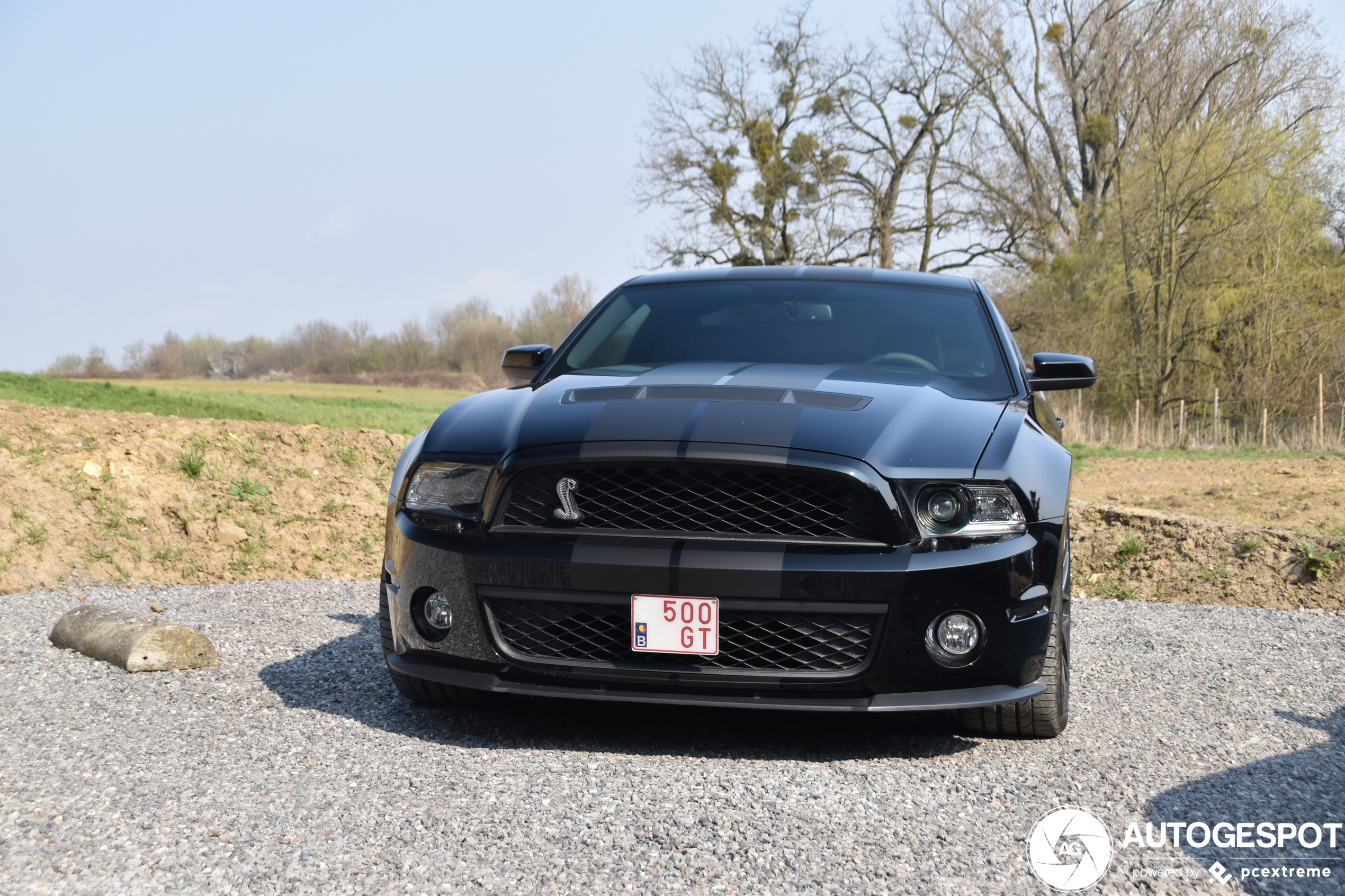 Ford Mustang Shelby GT500 2010