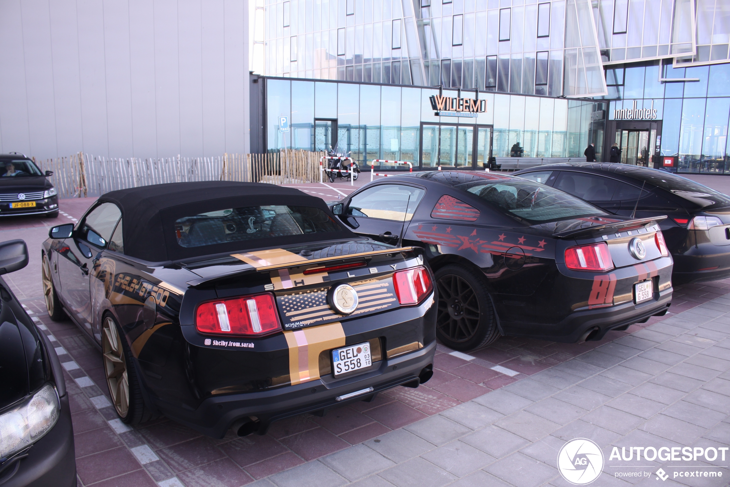 Ford Mustang Shelby GT500 Convertible 2010