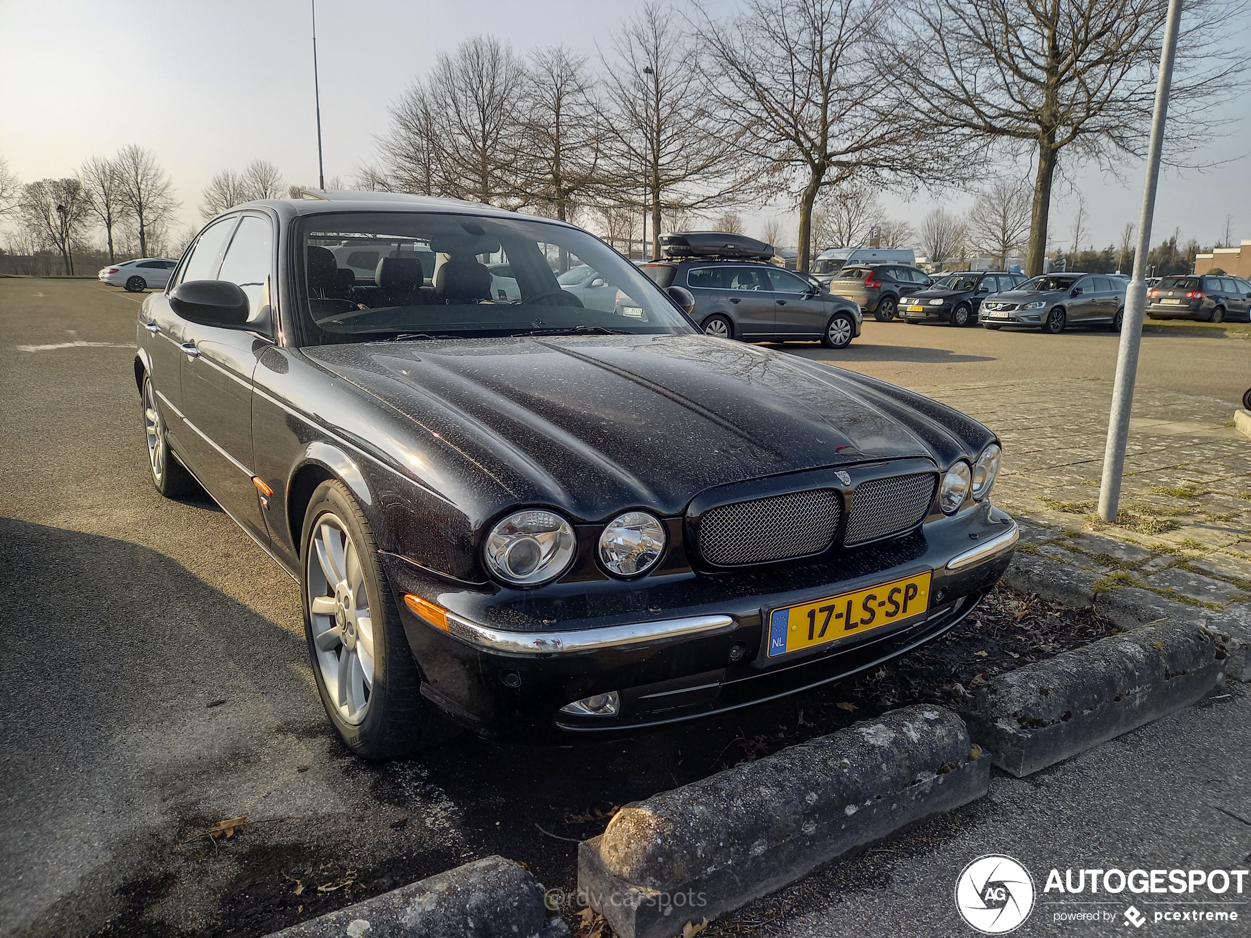 Jaguar XJR