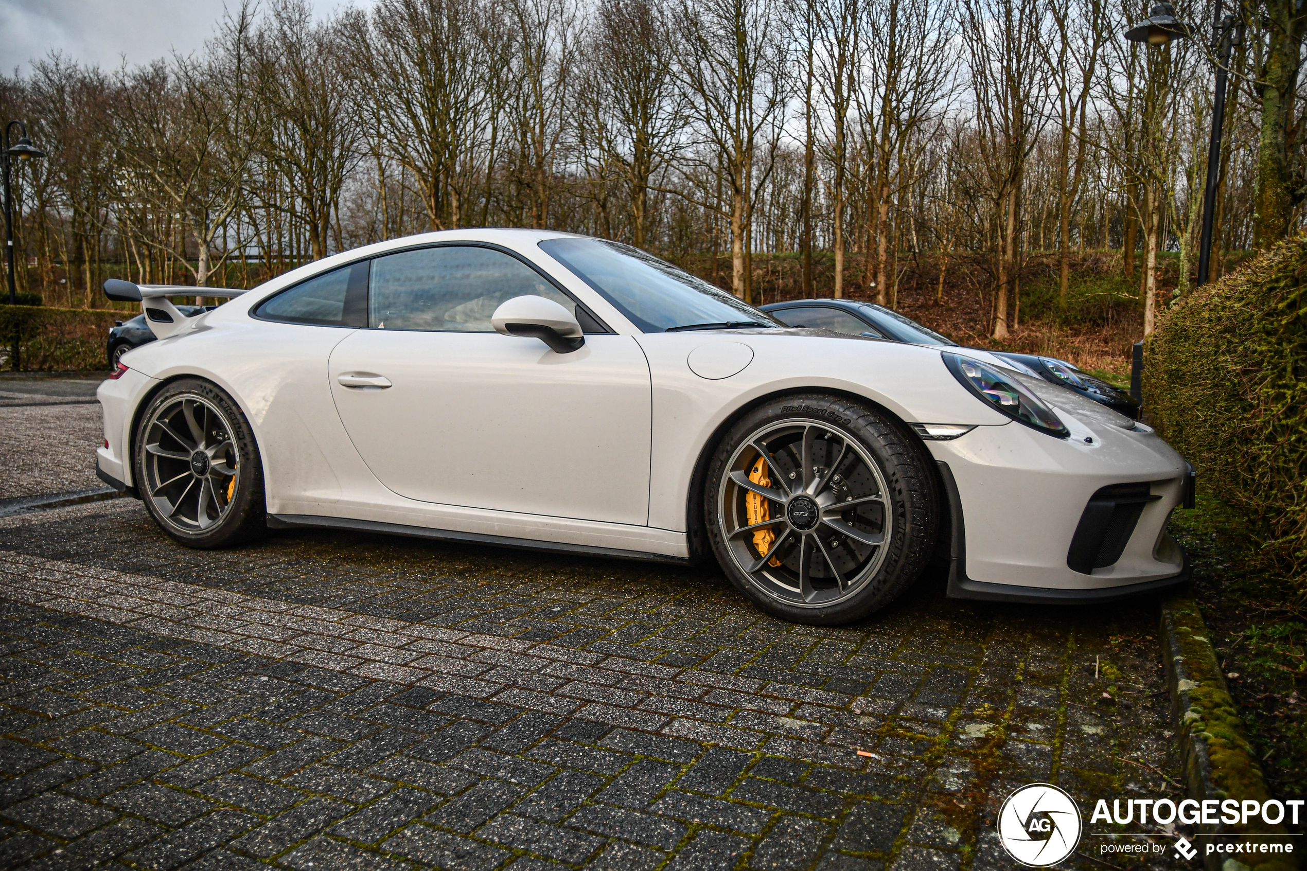 Porsche 991 GT3 MkII