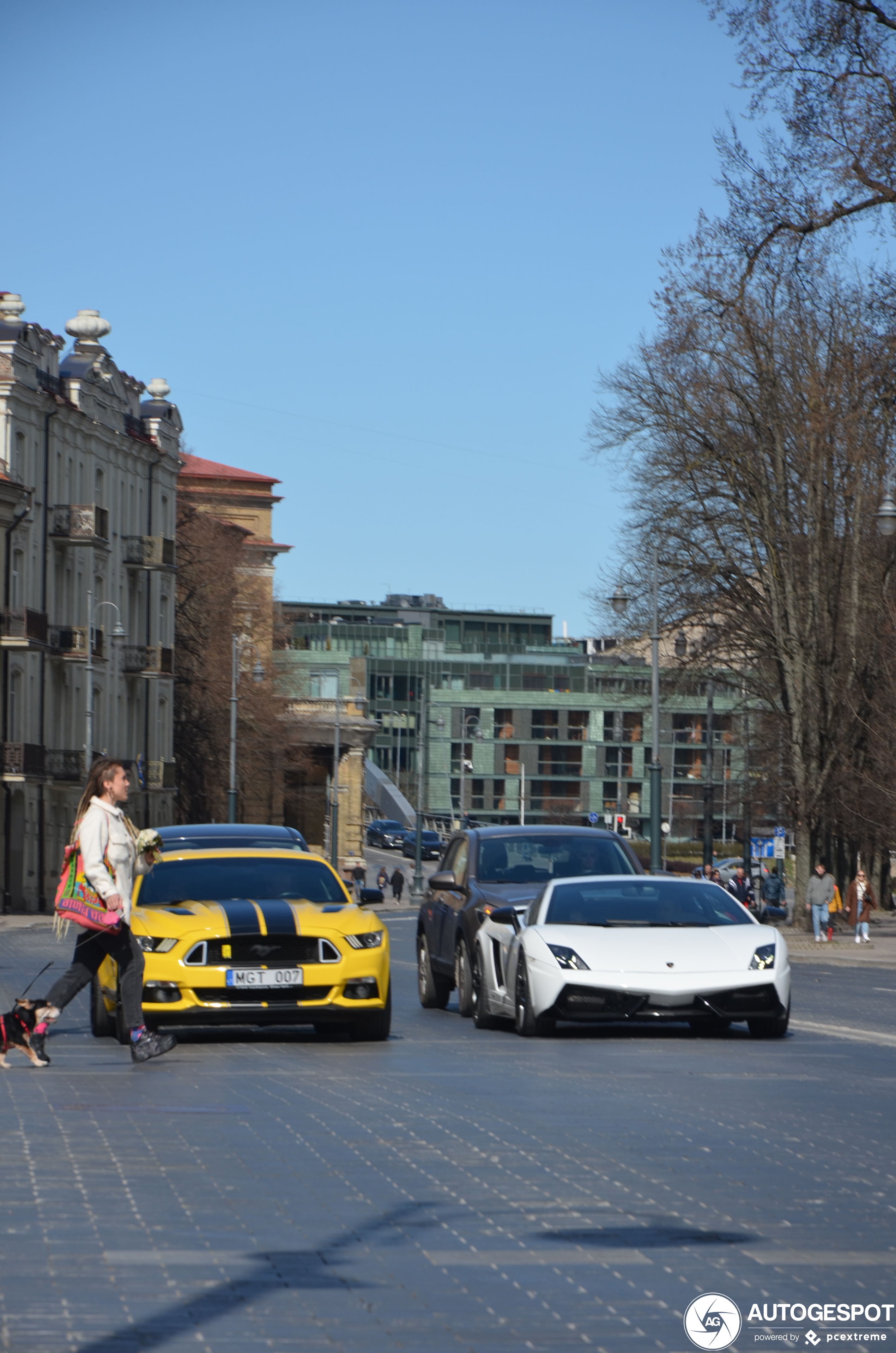 Lamborghini Gallardo LP560-4