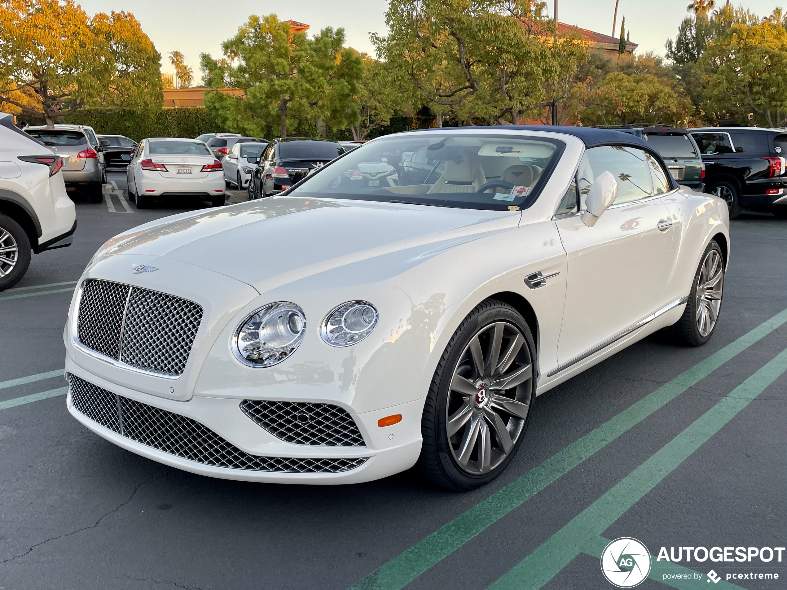 Bentley Continental GTC V8 2016