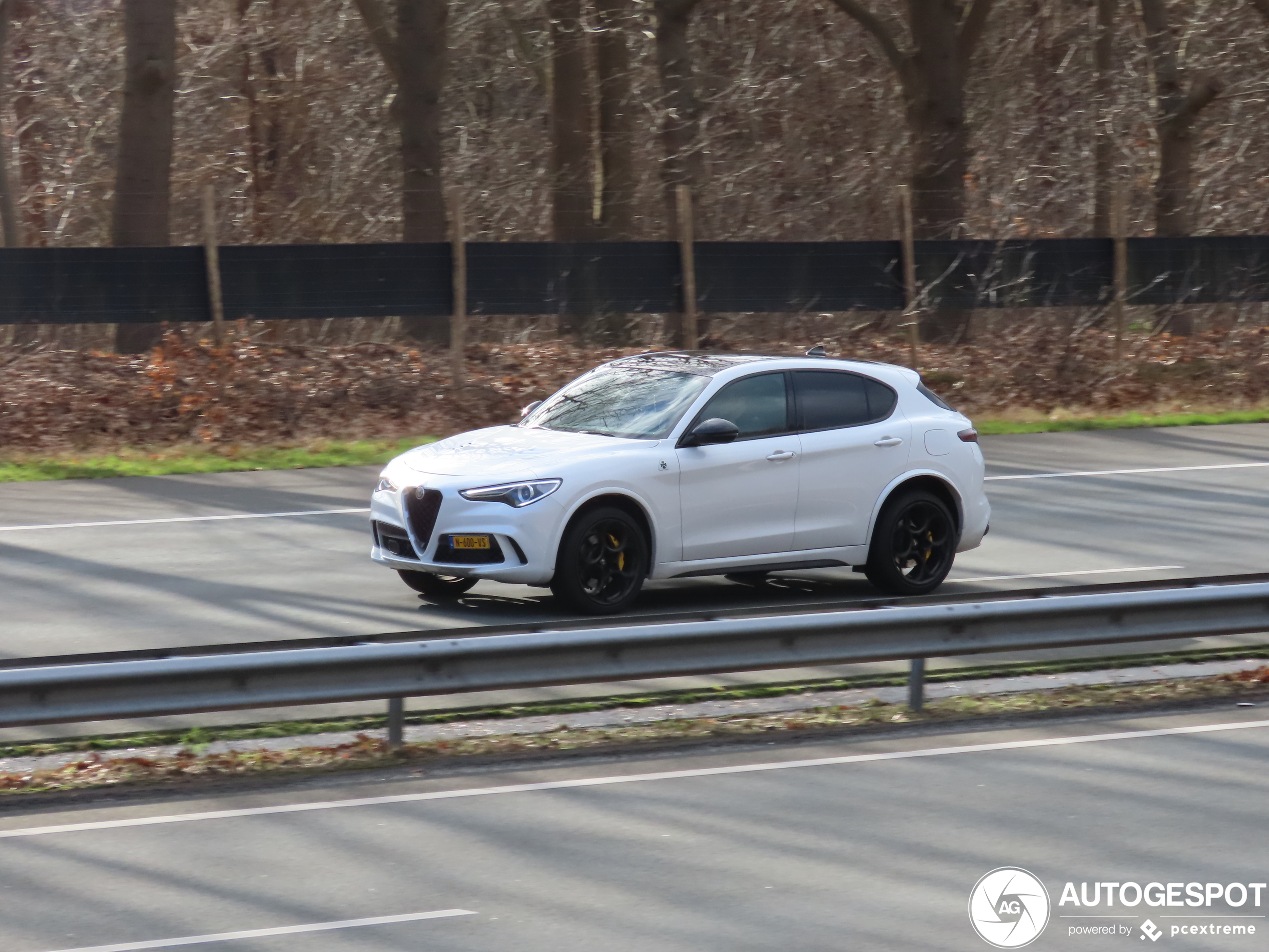 Alfa Romeo Stelvio Quadrifoglio 2020