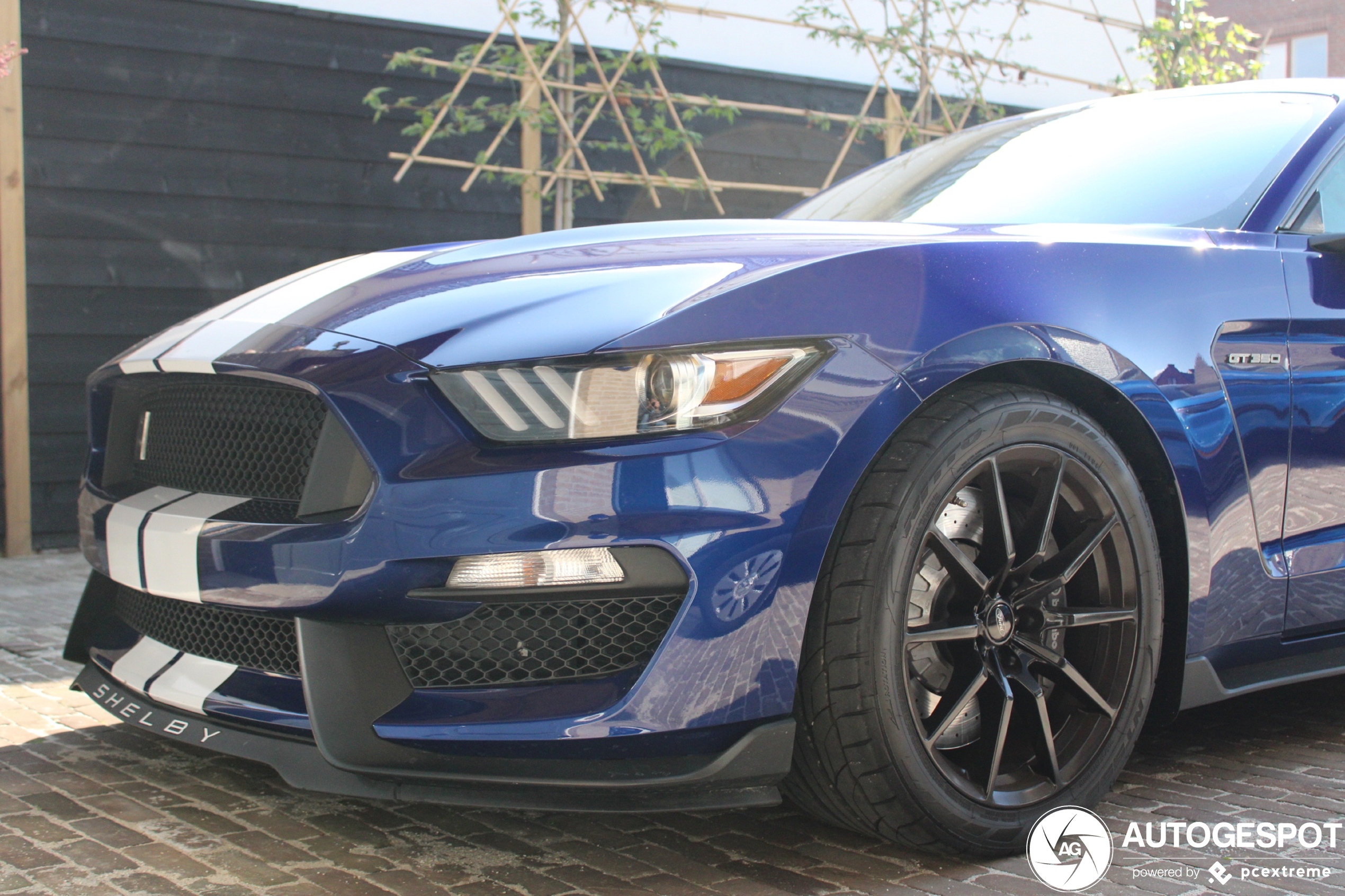 Ford Mustang Shelby GT350 2015