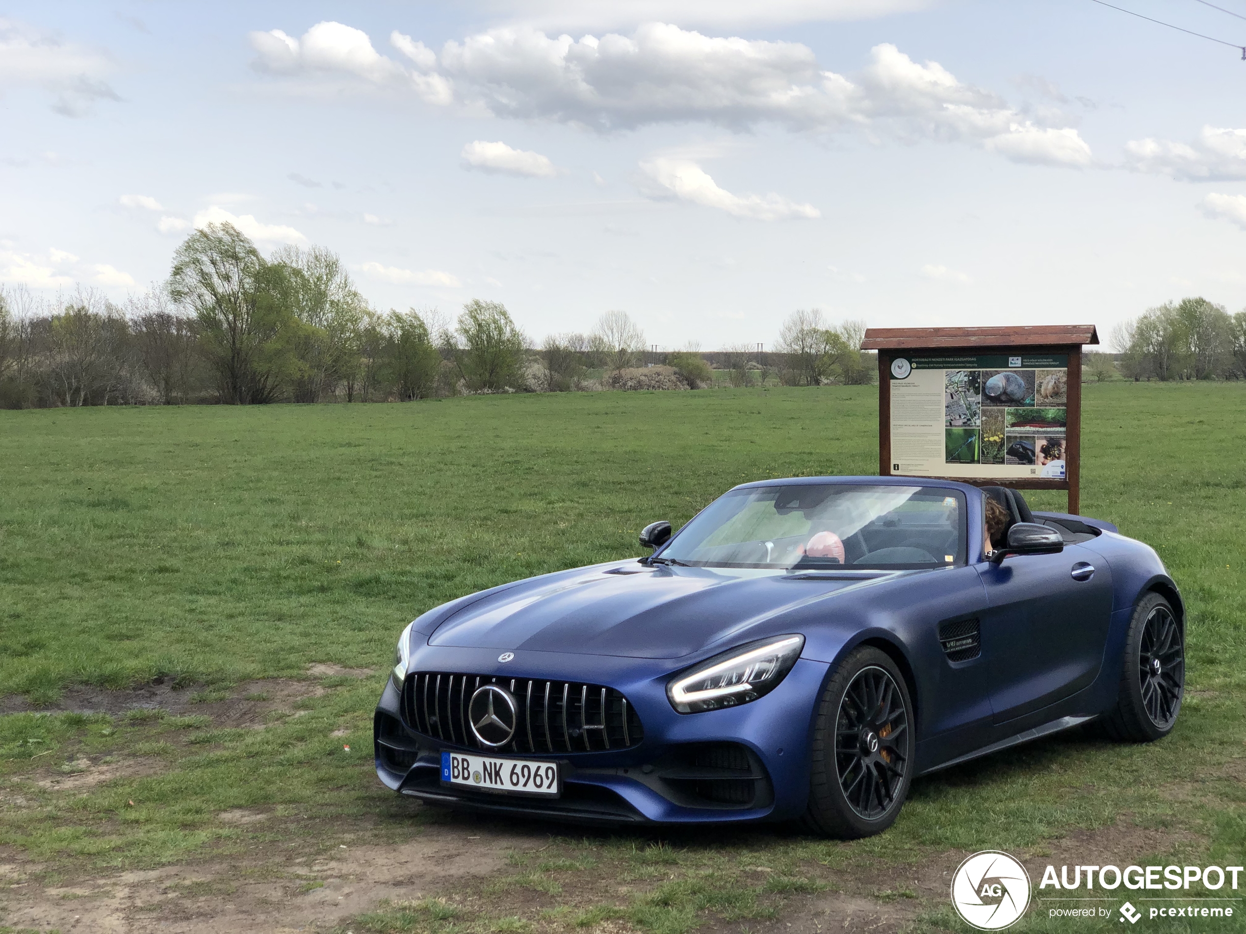 Mercedes-AMG GT C Roadster R190 2019