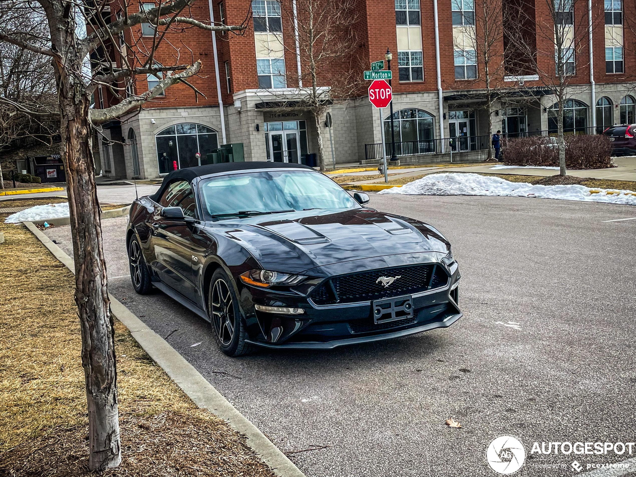 Ford Mustang GT Convertible 2018