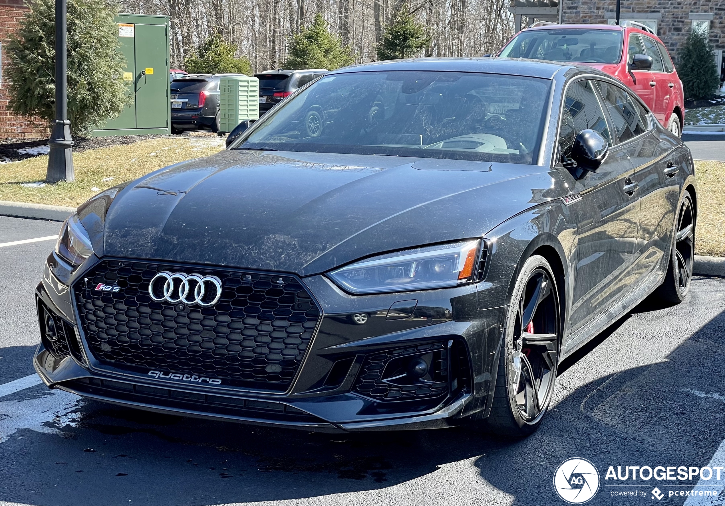 Audi RS5 Sportback B9