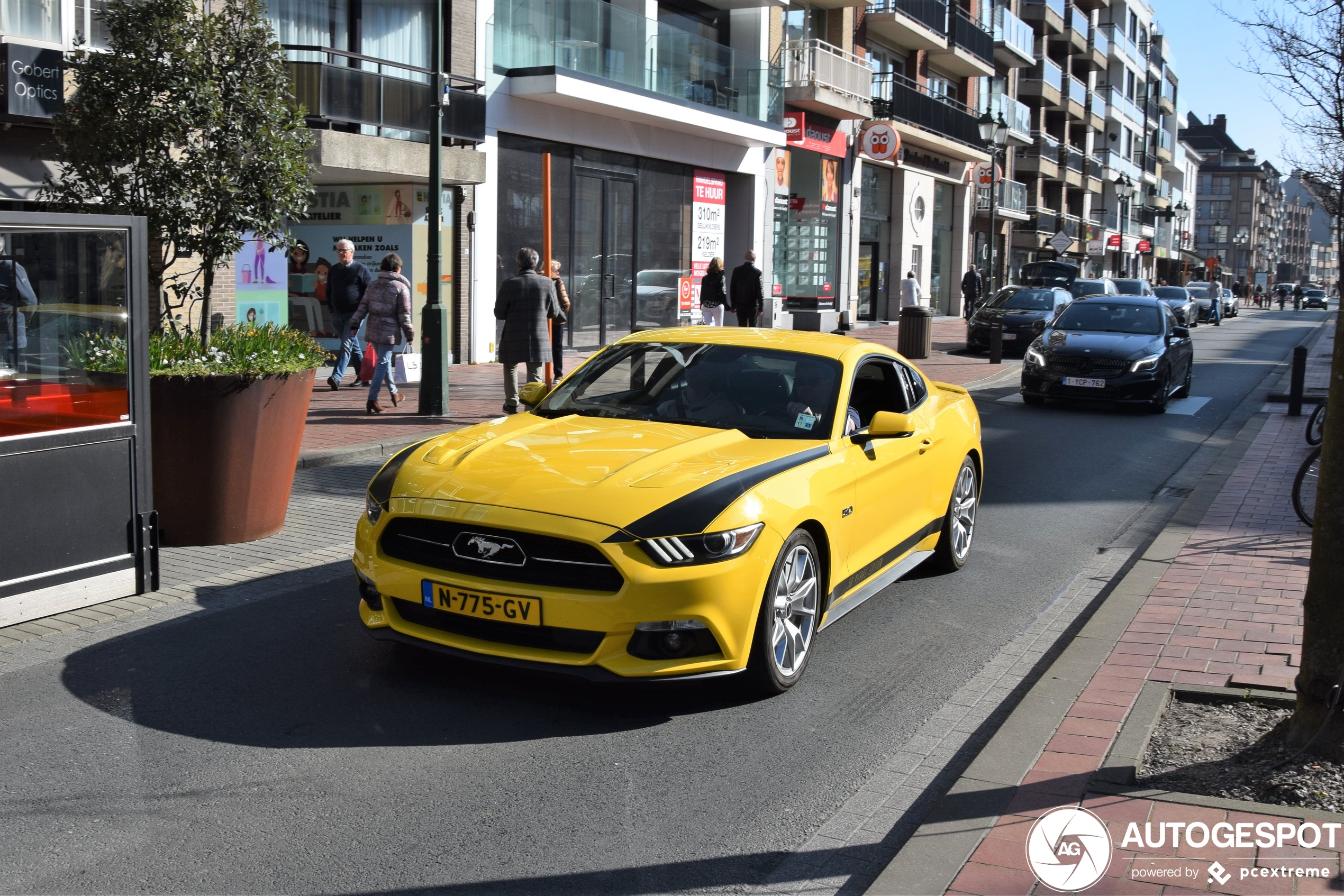 Ford Mustang GT 50th Anniversary Edition