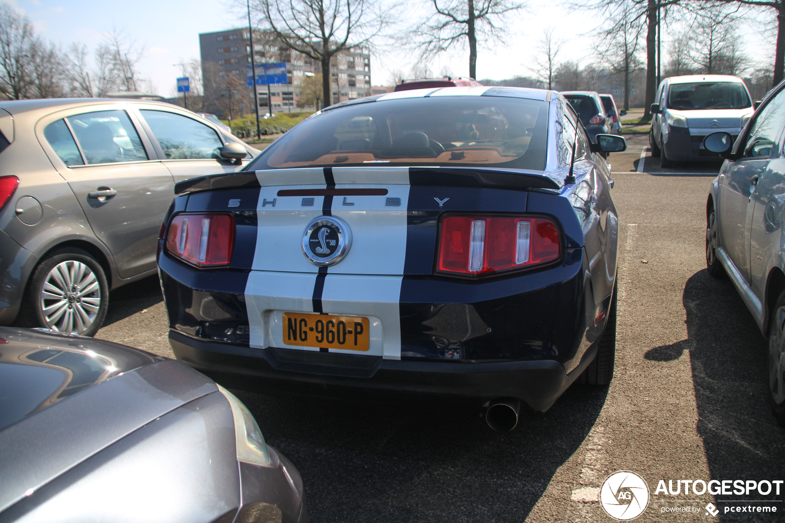 Ford Mustang Shelby GT500 2010