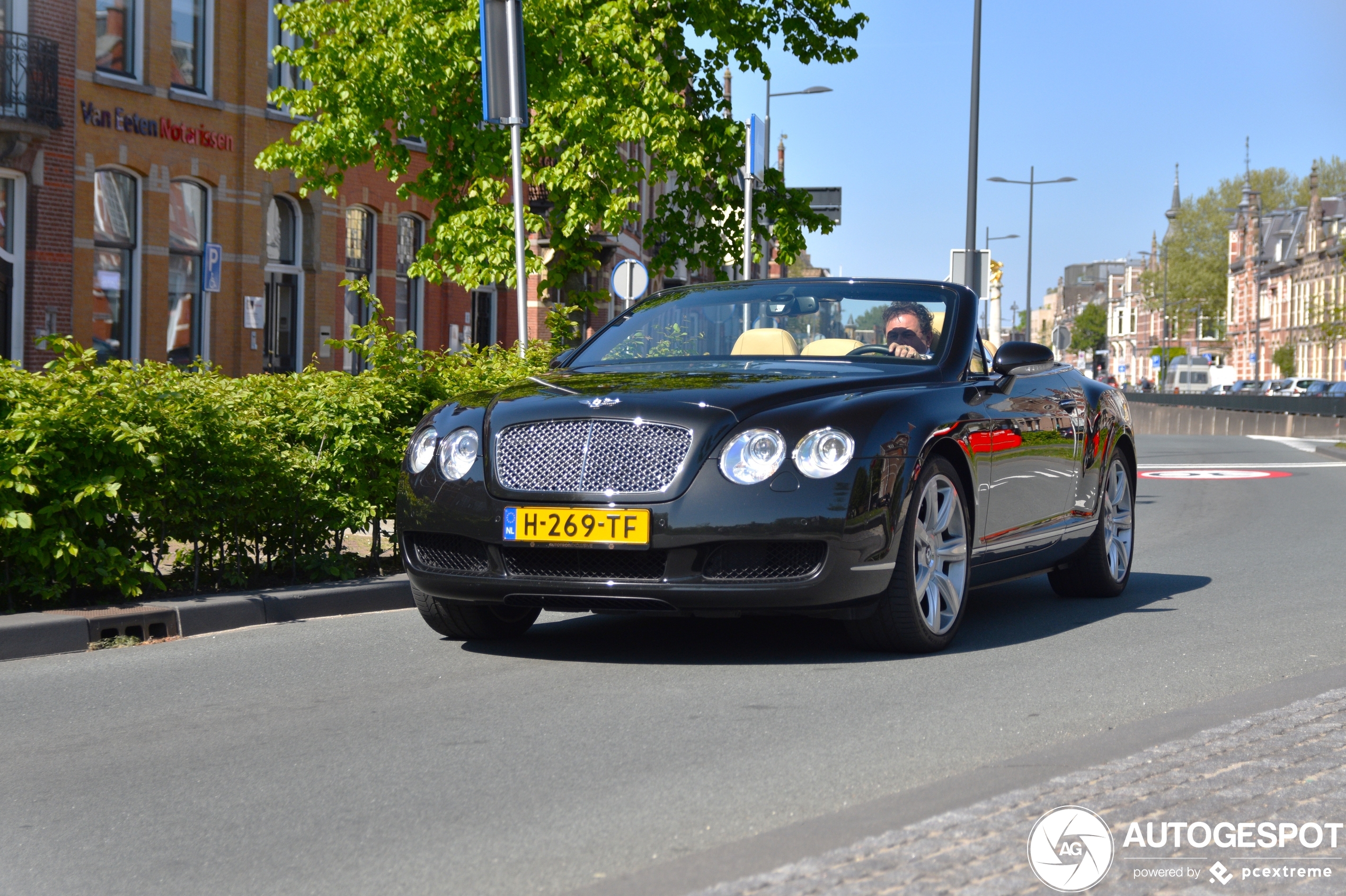 Bentley Continental GTC