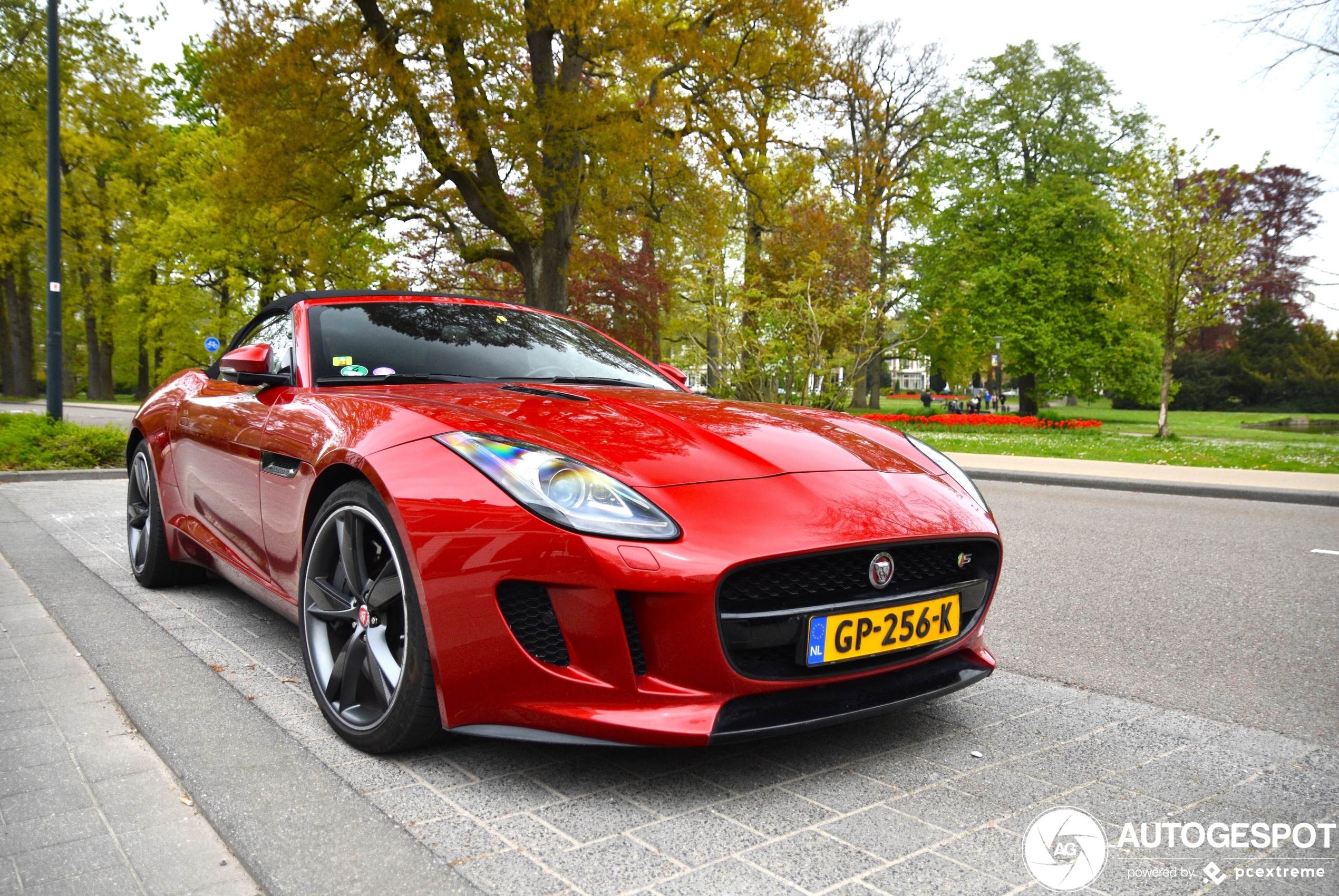 Jaguar F-TYPE S Convertible