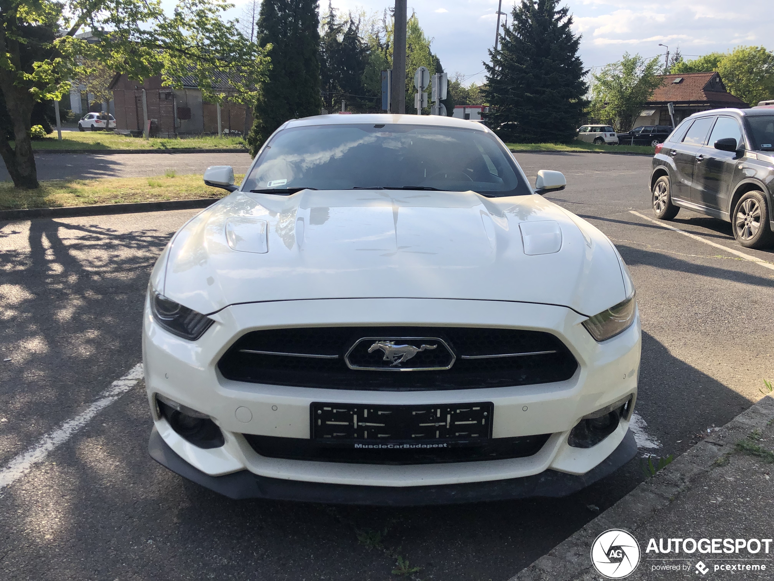 Ford Mustang GT 50th Anniversary Edition