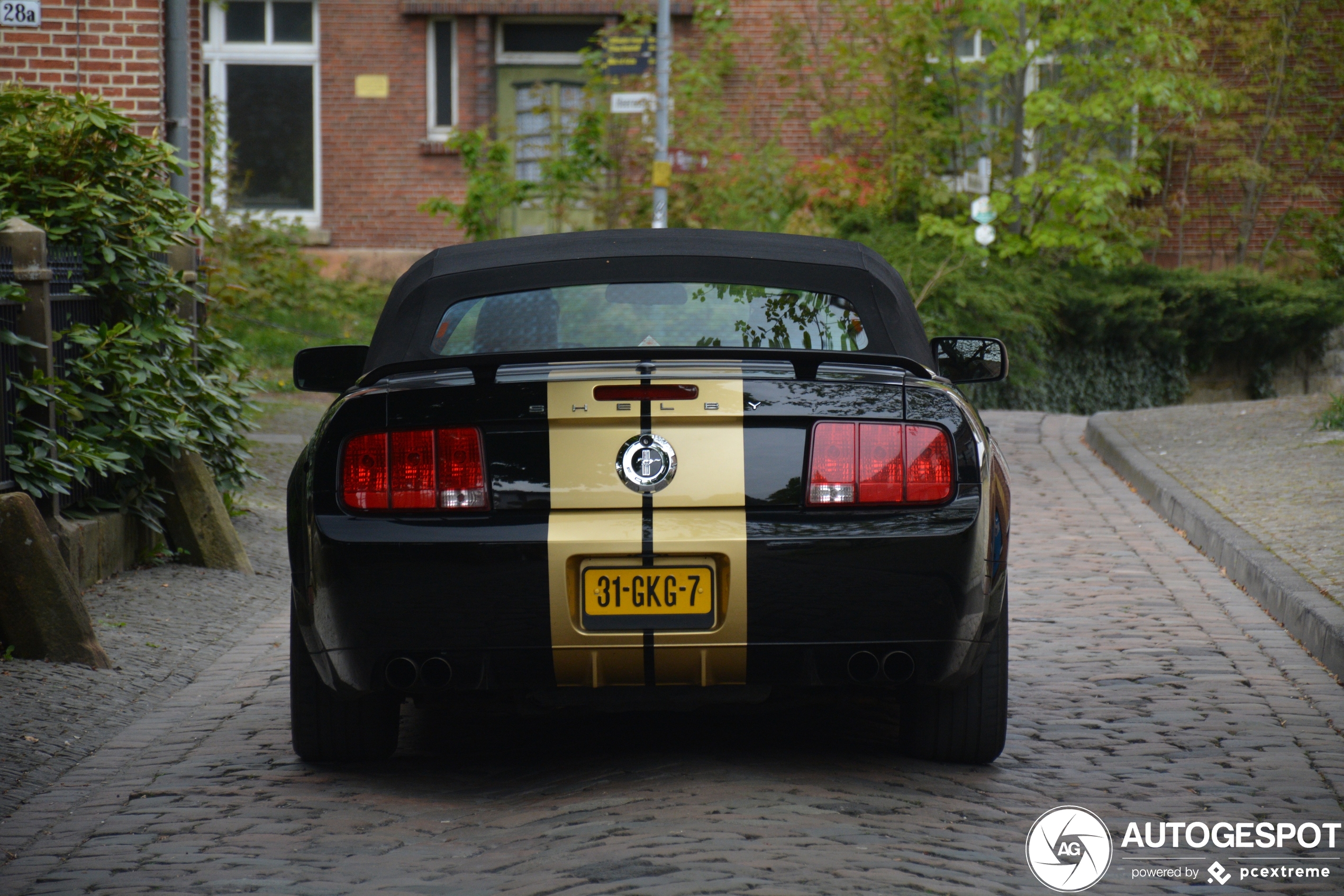 Ford Mustang Shelby GT-H Convertible