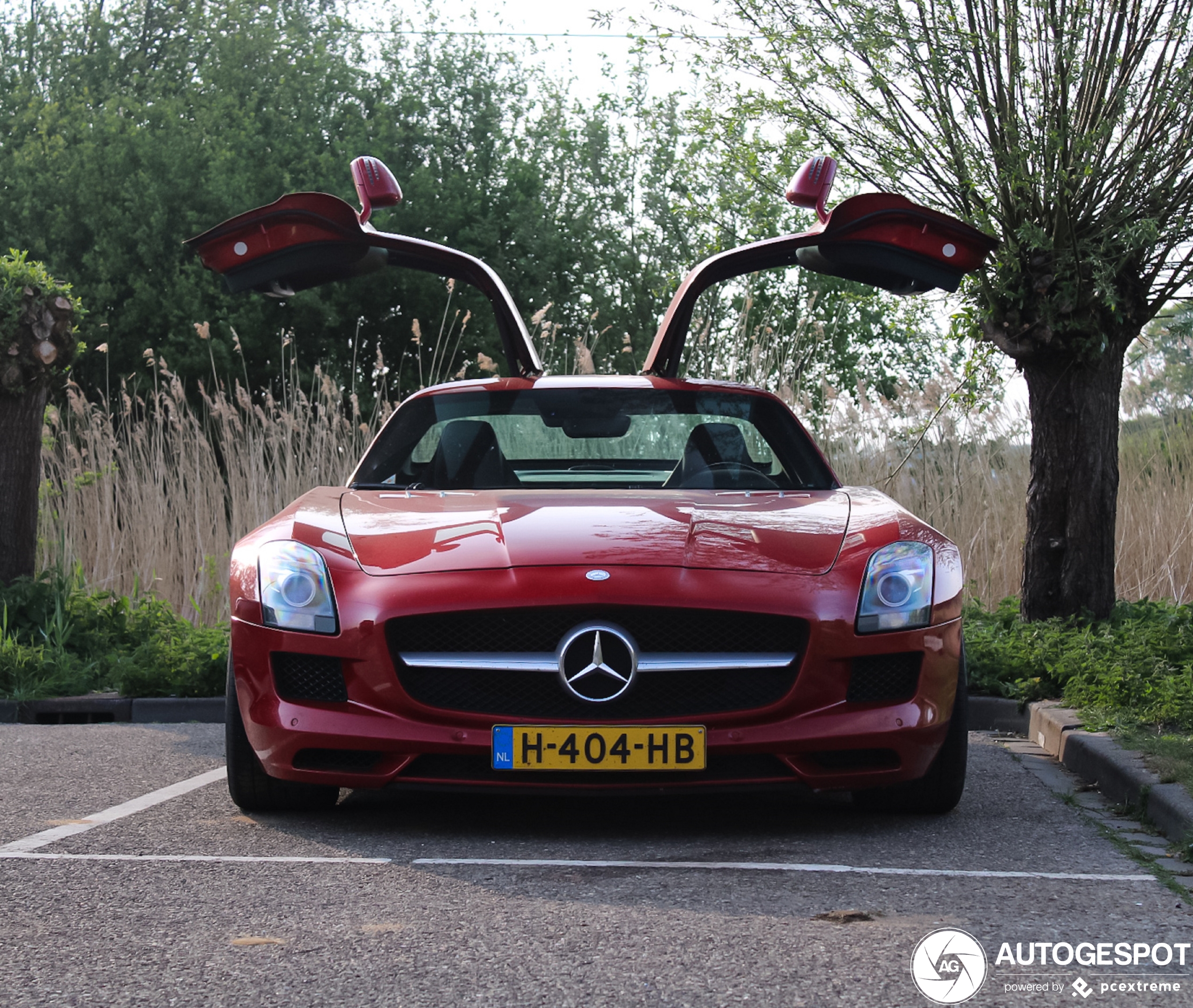 Mercedes-Benz SLS AMG