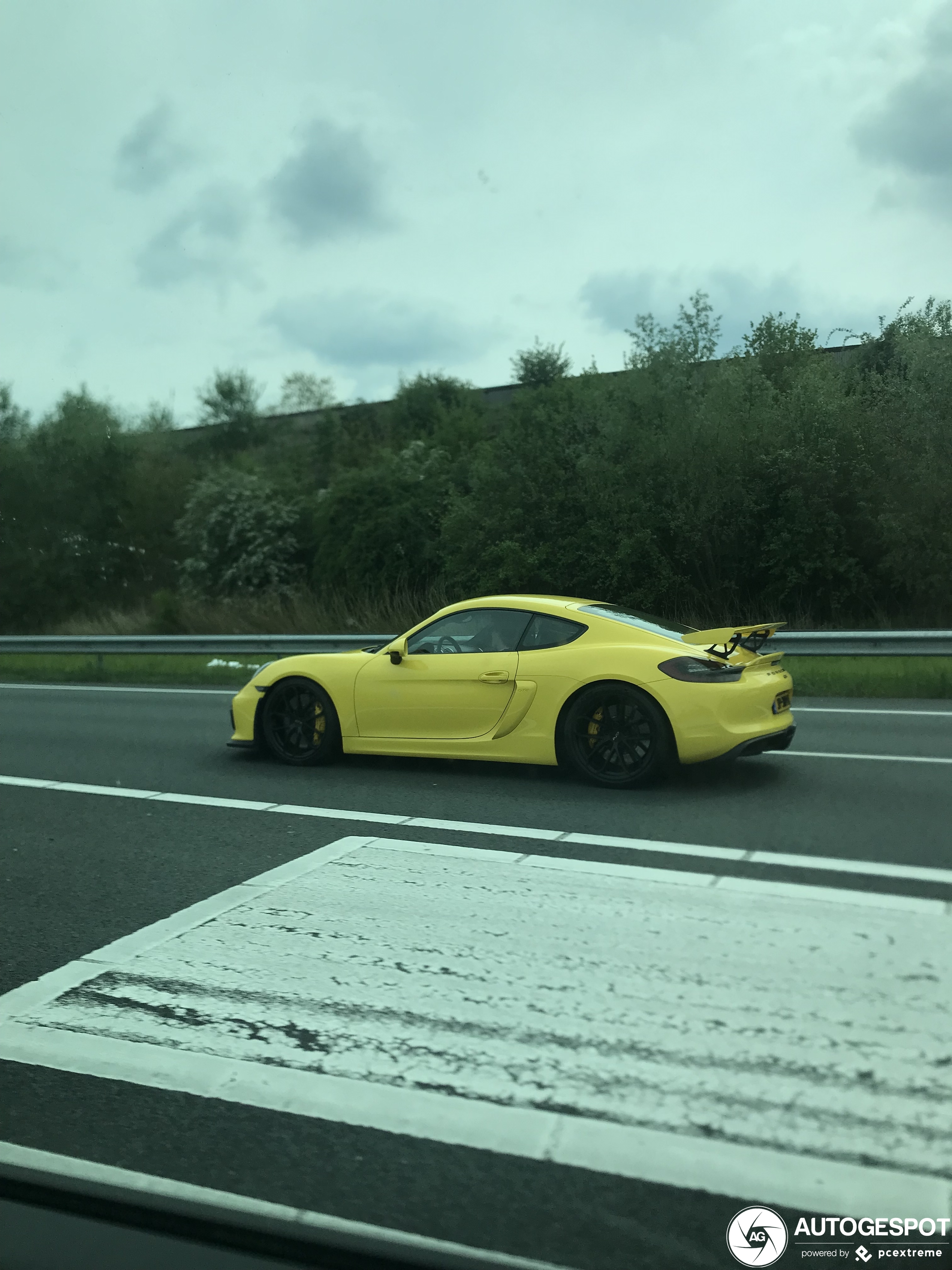 Porsche 981 Cayman GT4