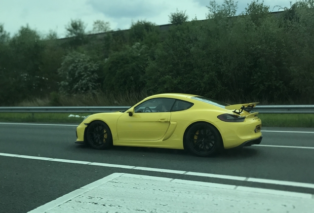 Porsche 981 Cayman GT4