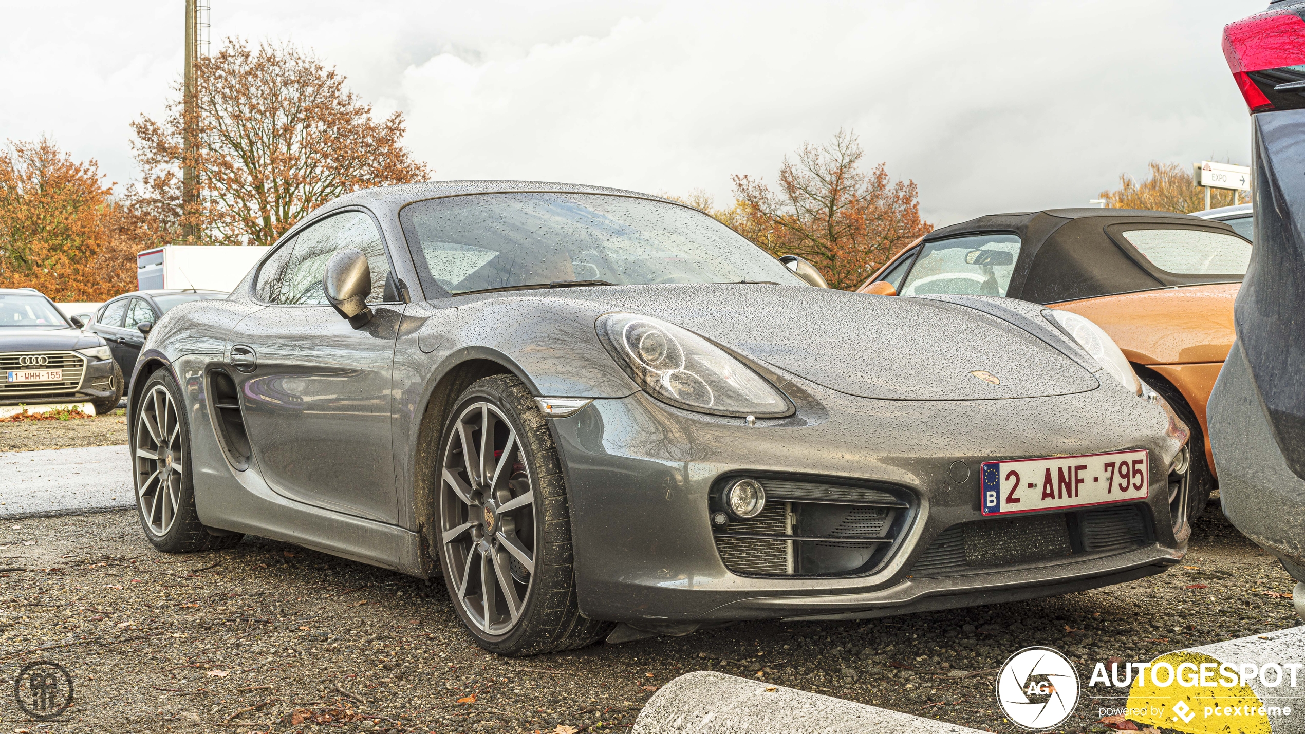 Porsche 981 Cayman S