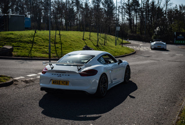 Porsche 981 Cayman GT4