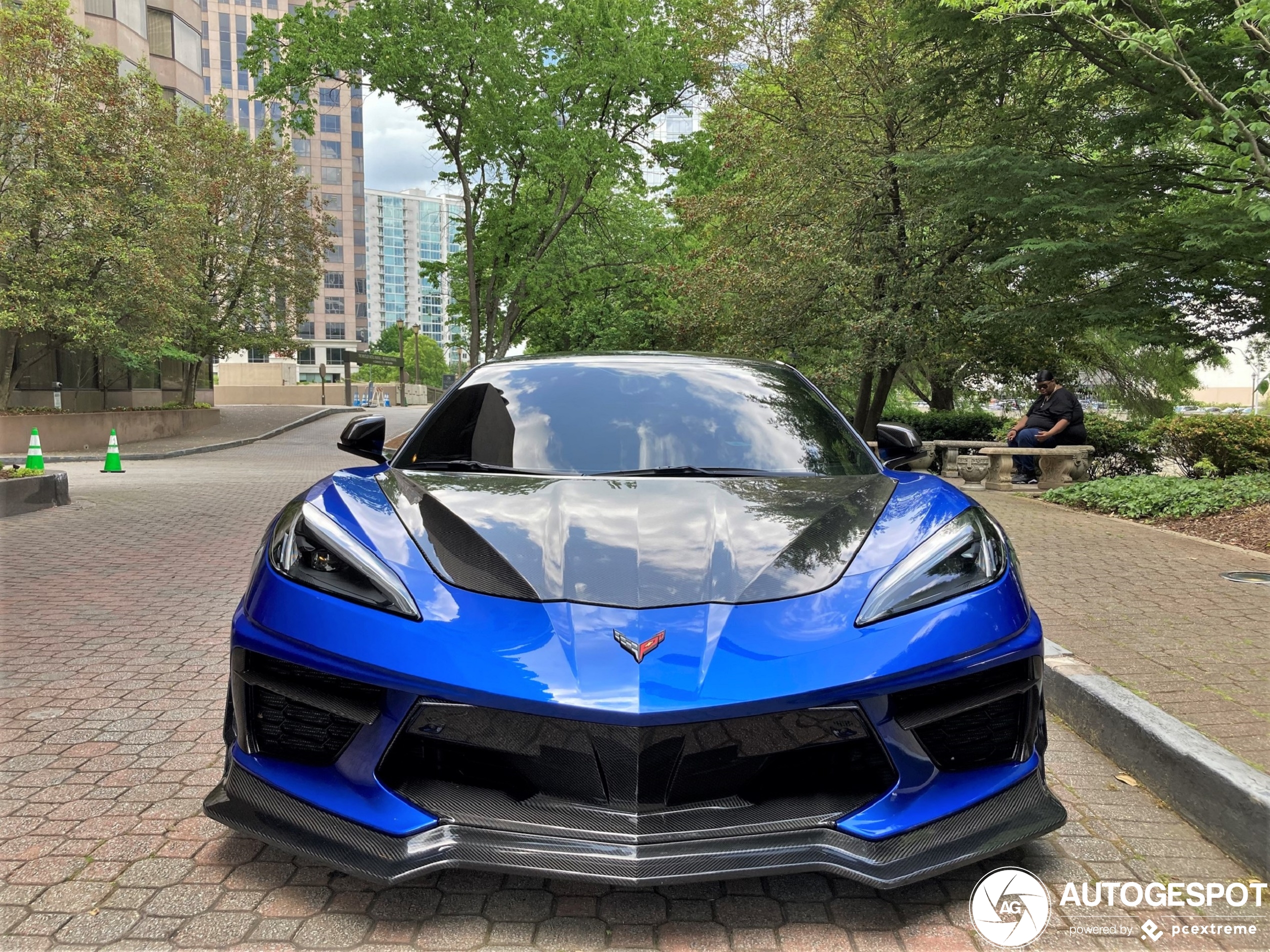 Corvette C8 Carbon Fiber overload