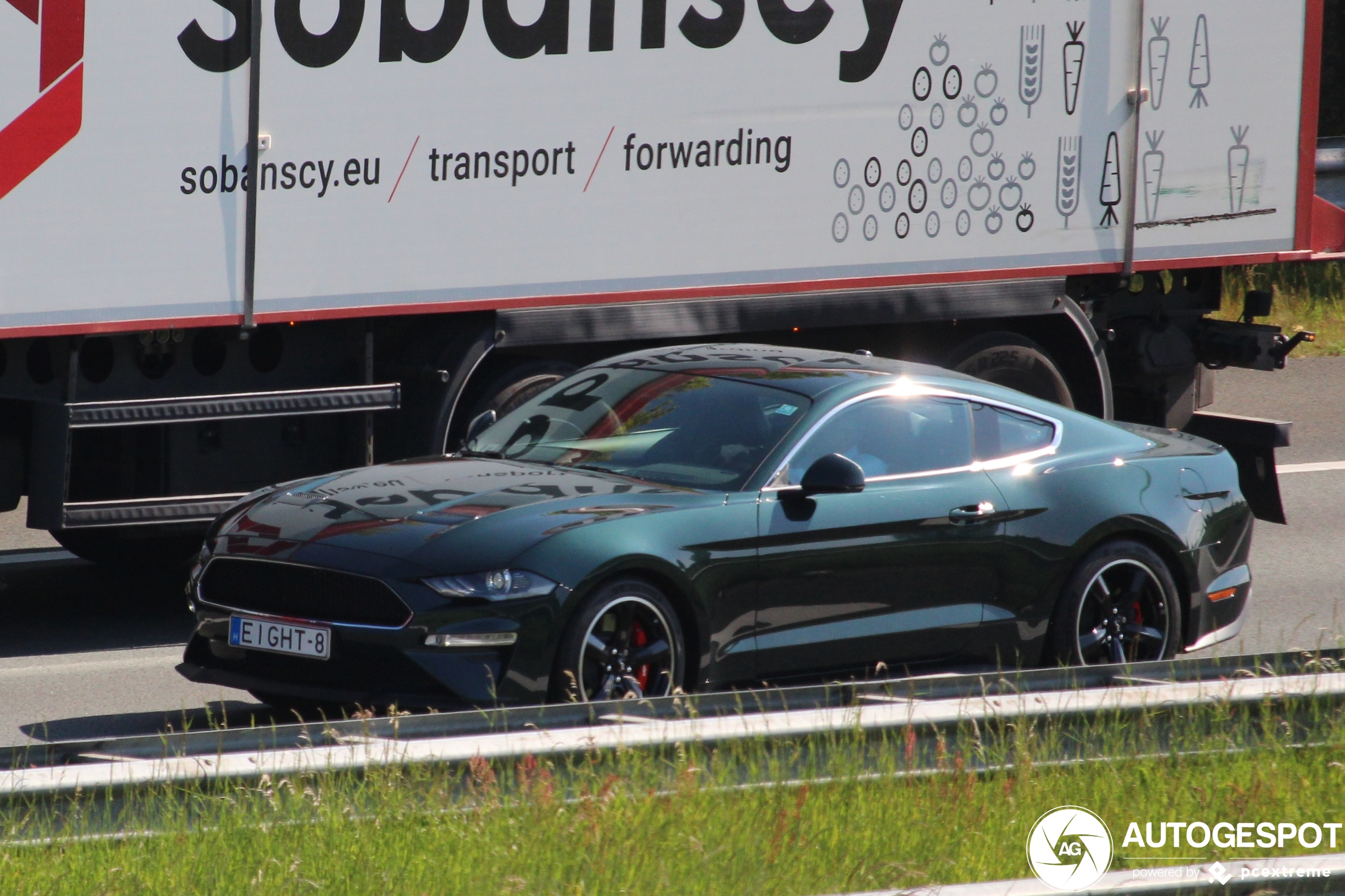 Ford Mustang Bullitt 2019