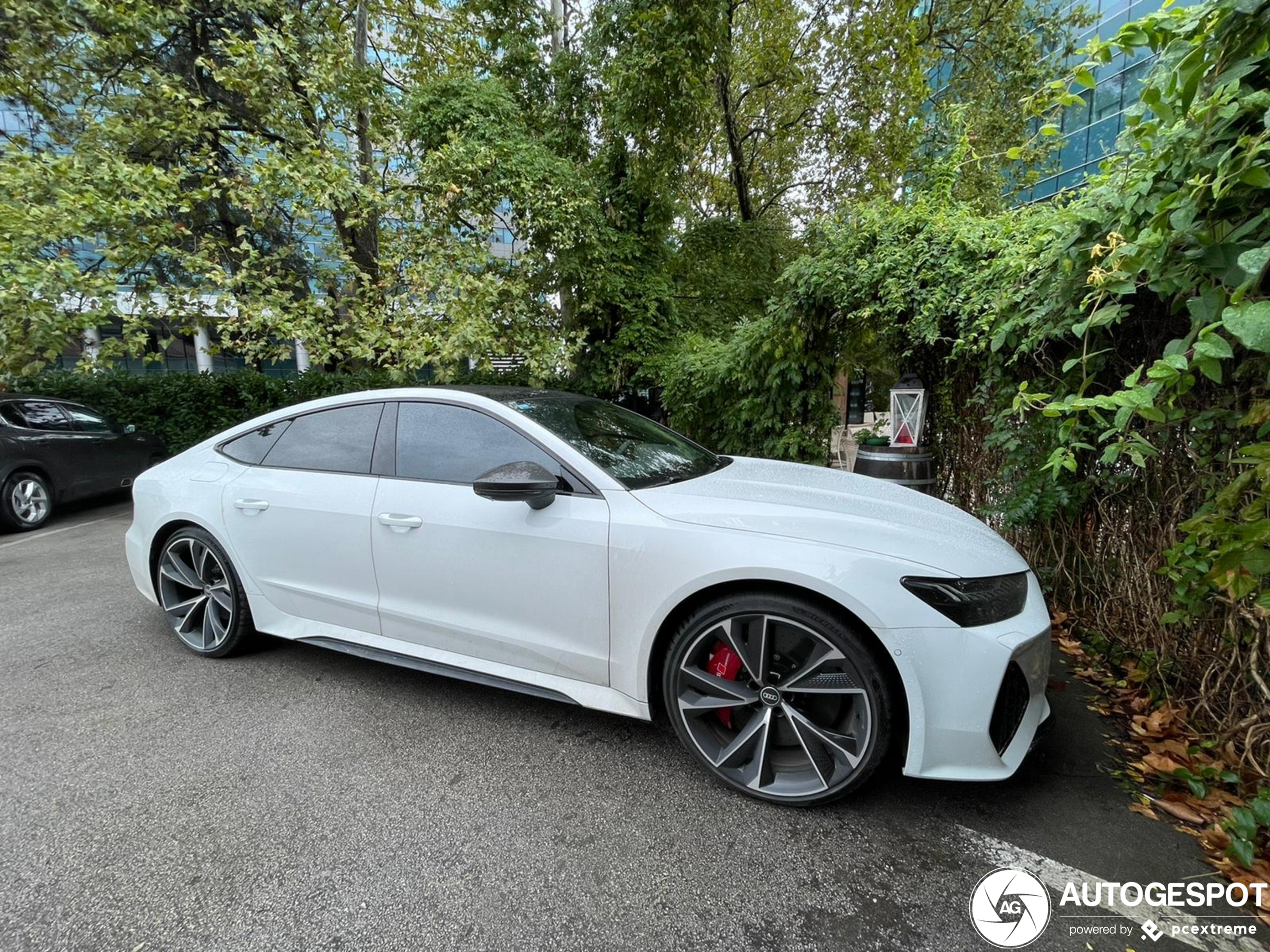 Audi RS7 Sportback C8