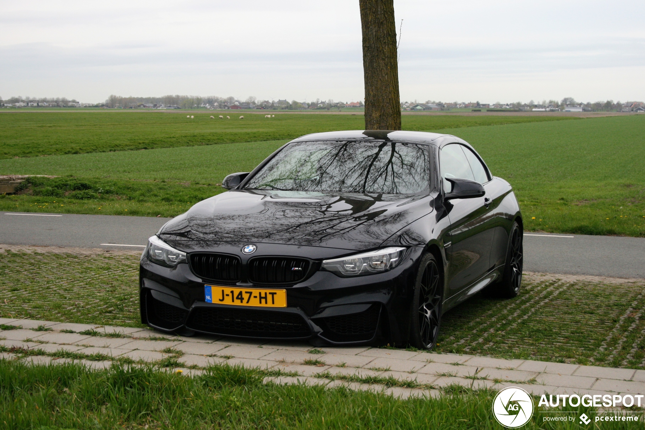 BMW M4 F83 Convertible