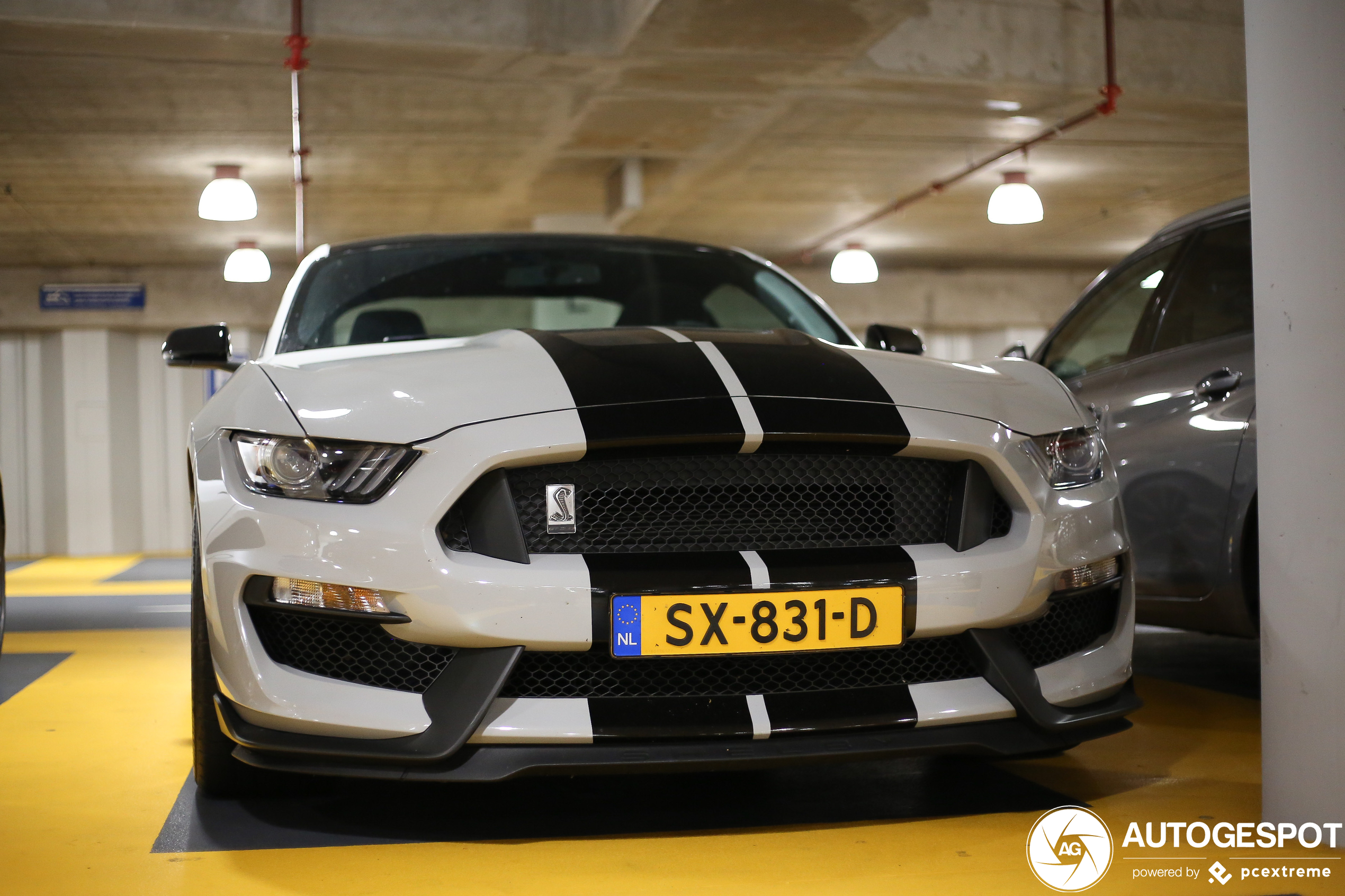 Ford Mustang Shelby GT350 2015