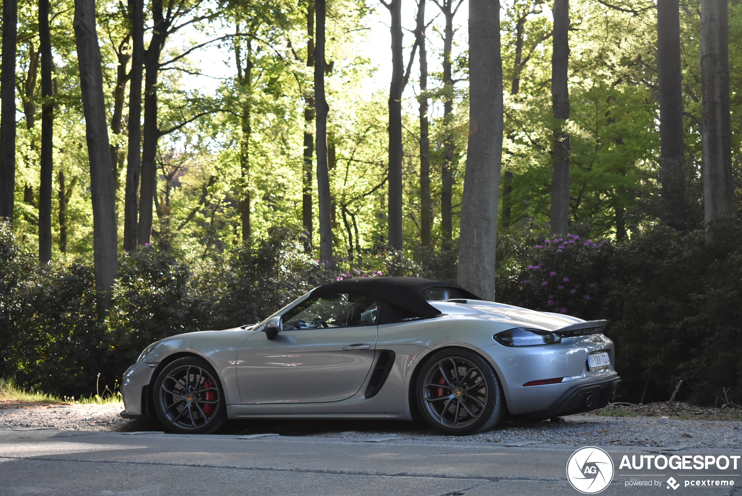 Porsche 718 Spyder