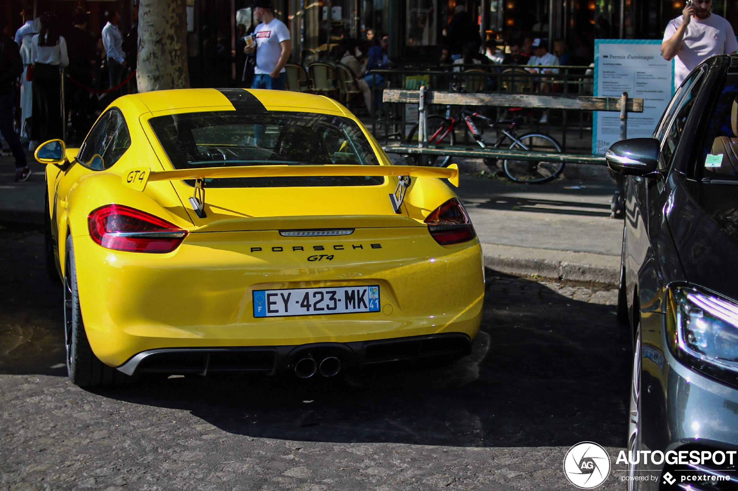 Porsche 981 Cayman GT4