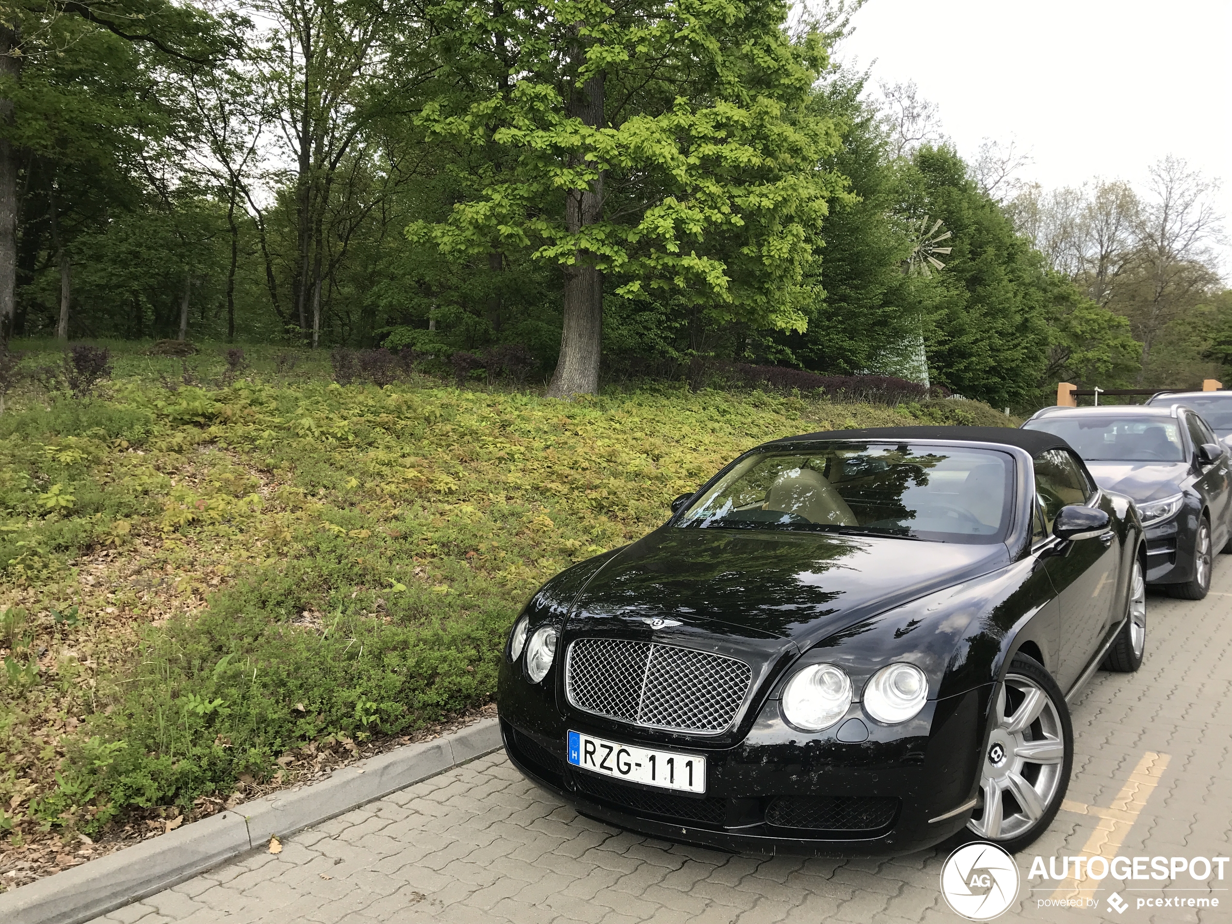 Bentley Continental GTC