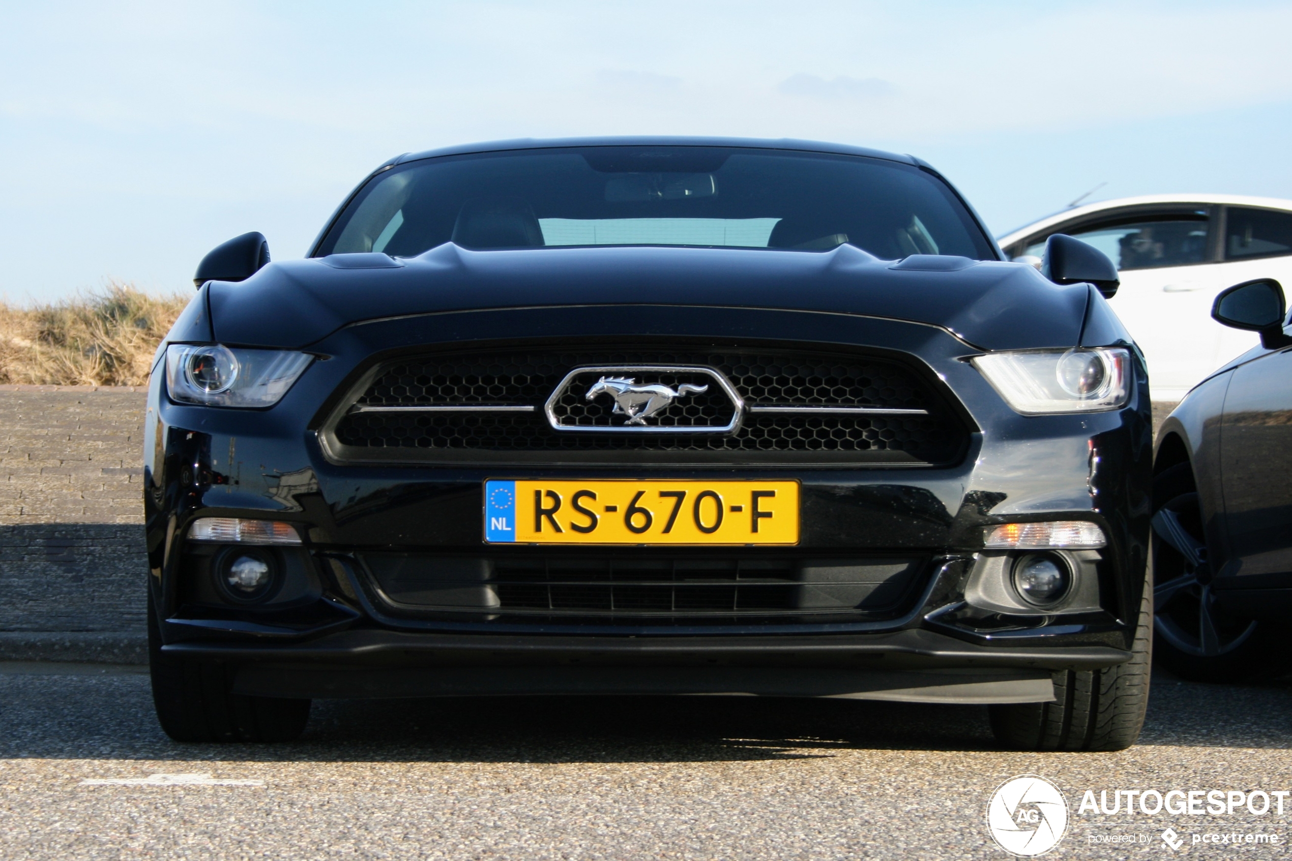 Ford Mustang GT 50th Anniversary Edition